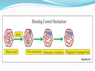 DETERMINATION OF BLEEDING AND CLOTTING TIME Ass.Lec Hussein Hamid Al ...