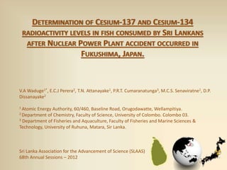 DETERMINATION OF CESIUM-137 AND CESIUM-134
RADIOACTIVITY LEVELS IN FISH CONSUMED BY SRI LANKANS
AFTER NUCLEAR POWER PLANT ACCIDENT OCCURRED IN
FUKUSHIMA, JAPAN.
V.A Waduge1*, E.C.J Perera2, T.N. Attanayake1, P.R.T. Cumaranatunga3, M.C.S. Senaviratne1, D.P.
Dissanayake2
1 Atomic Energy Authority, 60/460, Baseline Road, Orugodawatte, Wellampitiya.
2 Department of Chemistry, Faculty of Science, University of Colombo. Colombo 03.
3 Department of Fisheries and Aquaculture, Faculty of Fisheries and Marine Sciences &
Technology, University of Ruhuna, Matara, Sir Lanka.
Sri Lanka Association for the Advancement of Science (SLAAS)
68th Annual Sessions – 2012
 