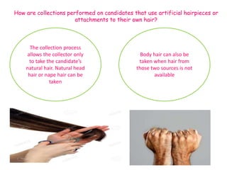 Determination of drug of abuse in hair sample | PPTX