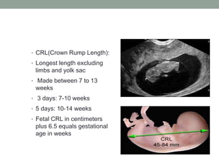 Determination of gestational age revised copy | PPTX
