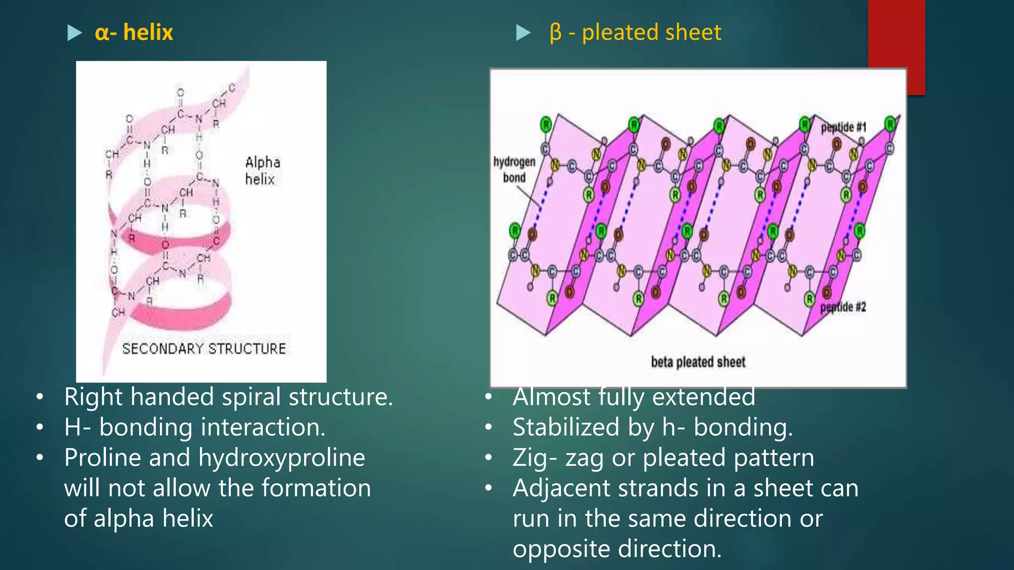  α- helix  β - pleated sheet
• Right handed spiral structure.
• H- bonding interaction.
• Proline and hydroxyproline
will not allow the formation
of alpha helix
• Almost fully extended
• Stabilized by h- bonding.
• Zig- zag or pleated pattern
• Adjacent strands in a sheet can
run in the same direction or
opposite direction.
 