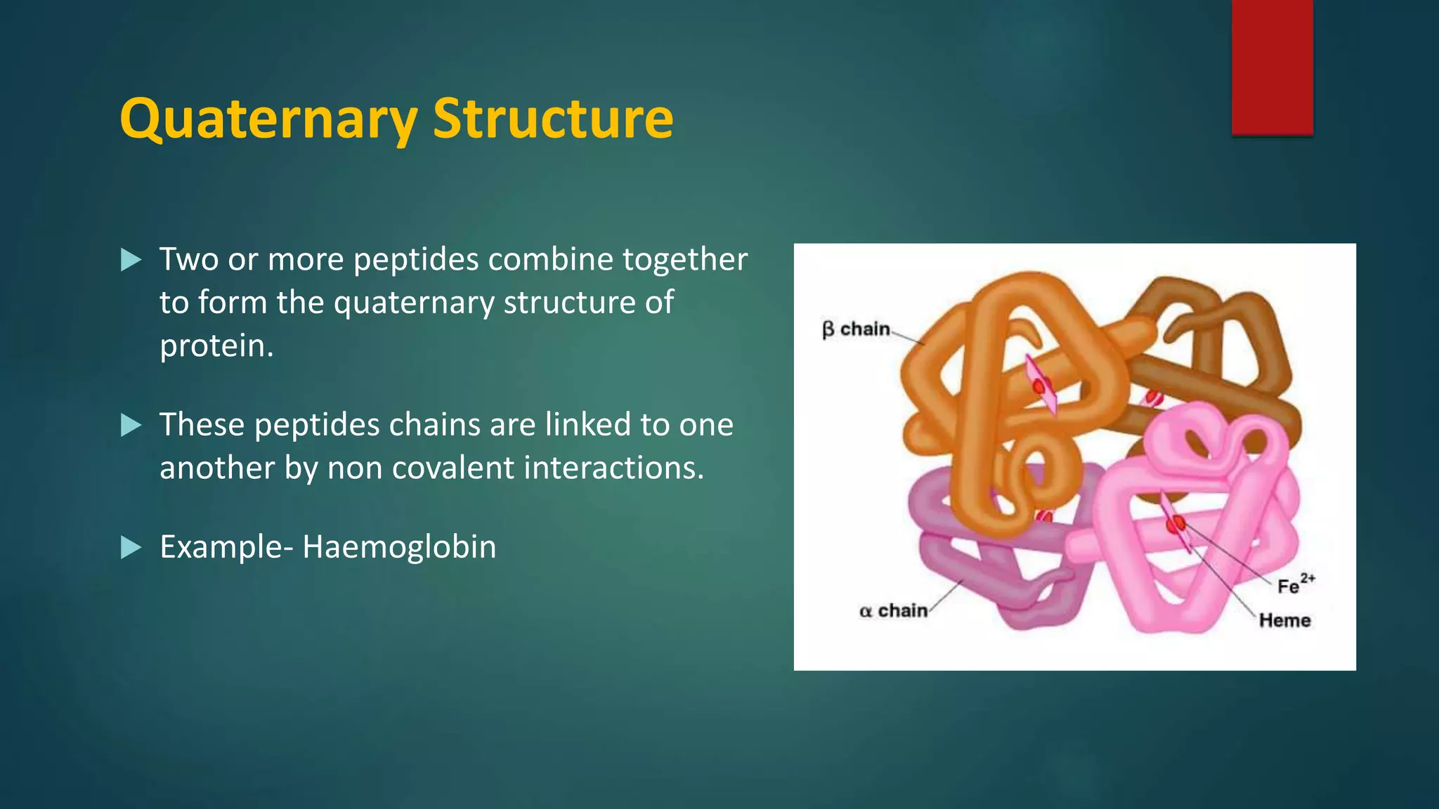 Quaternary Structure
 Two or more peptides combine together
to form the quaternary structure of
protein.
 These peptides chains are linked to one
another by non covalent interactions.
 Example- Haemoglobin
 