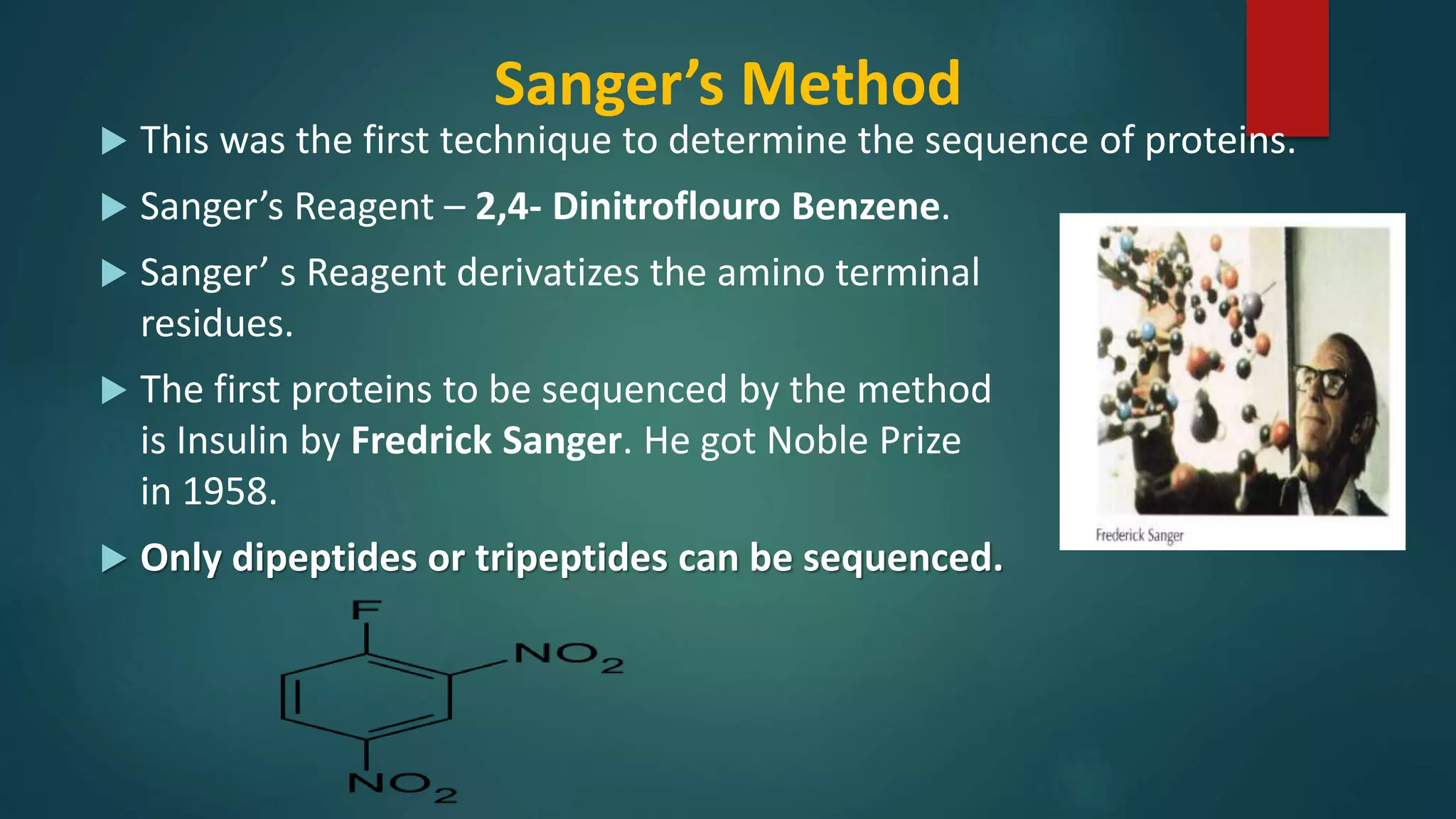 Sanger’s Method
 This was the first technique to determine the sequence of proteins.
 Sanger’s Reagent – 2,4- Dinitroflouro Benzene.
 Sanger’ s Reagent derivatizes the amino terminal
residues.
 The first proteins to be sequenced by the method
is Insulin by Fredrick Sanger. He got Noble Prize
in 1958.
 Only dipeptides or tripeptides can be sequenced.
 