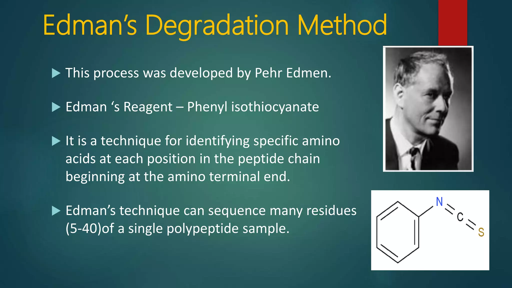 Edman’s Degradation Method
 This process was developed by Pehr Edmen.
 Edman ‘s Reagent – Phenyl isothiocyanate
 It is a technique for identifying specific amino
acids at each position in the peptide chain
beginning at the amino terminal end.
 Edman’s technique can sequence many residues
(5-40)of a single polypeptide sample.
 