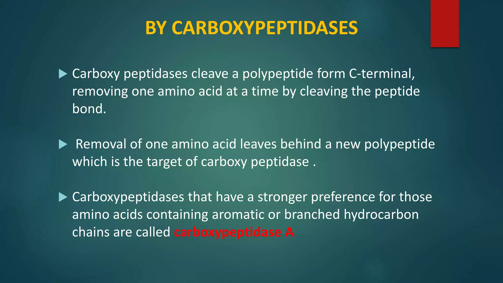 BY CARBOXYPEPTIDASES
 Carboxy peptidases cleave a polypeptide form C-terminal,
removing one amino acid at a time by cleaving the peptide
bond.
 Removal of one amino acid leaves behind a new polypeptide
which is the target of carboxy peptidase .
 Carboxypeptidases that have a stronger preference for those
amino acids containing aromatic or branched hydrocarbon
chains are called carboxypeptidase A
 