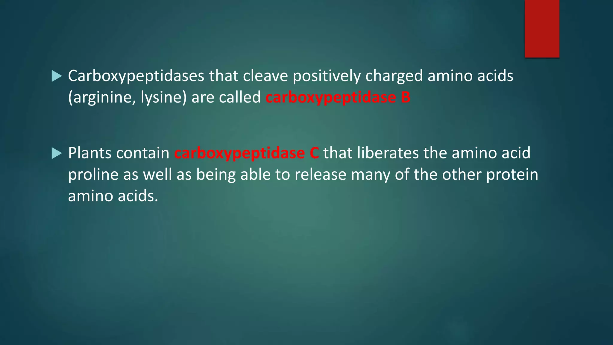  Carboxypeptidases that cleave positively charged amino acids
(arginine, lysine) are called carboxypeptidase B
 Plants contain carboxypeptidase C that liberates the amino acid
proline as well as being able to release many of the other protein
amino acids.
 