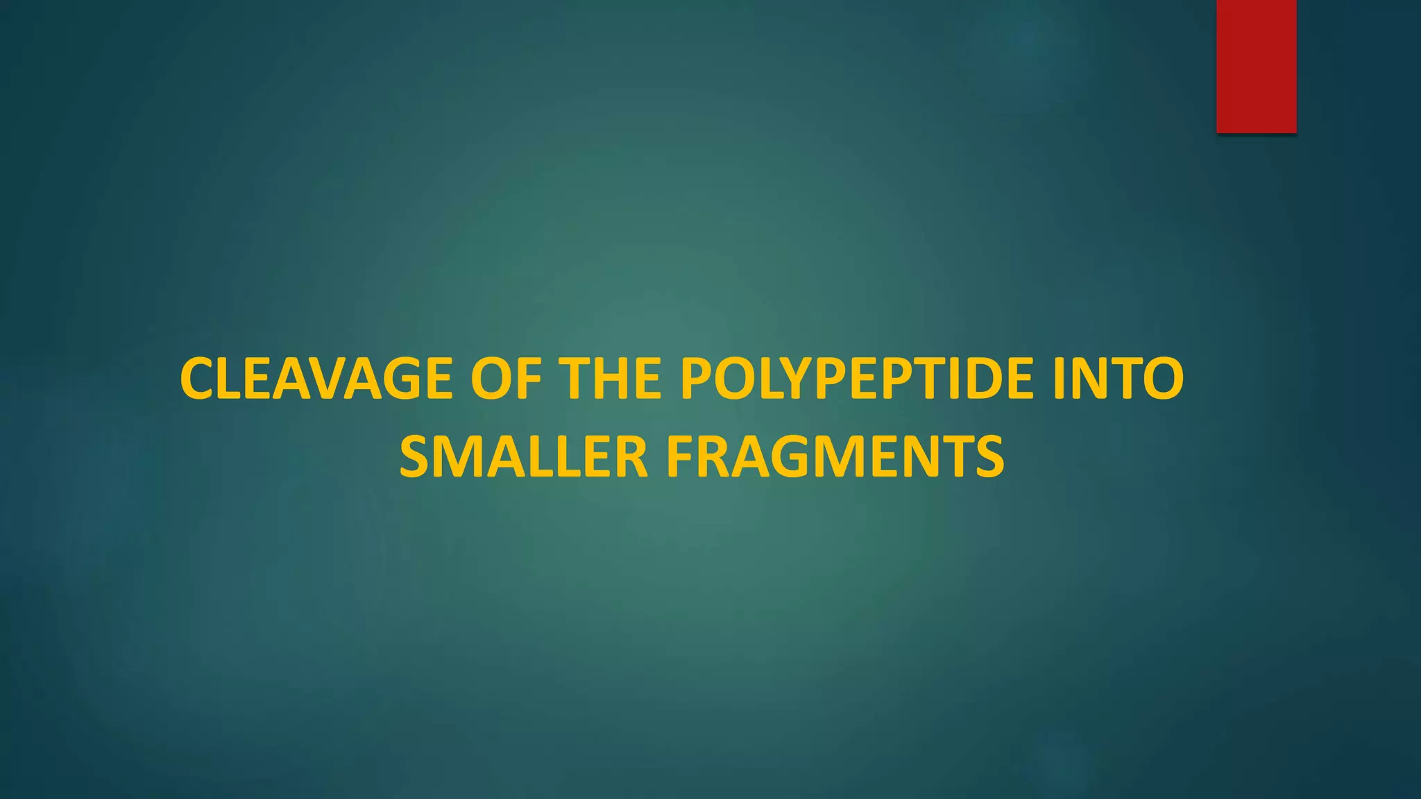 CLEAVAGE OF THE POLYPEPTIDE INTO
SMALLER FRAGMENTS
 