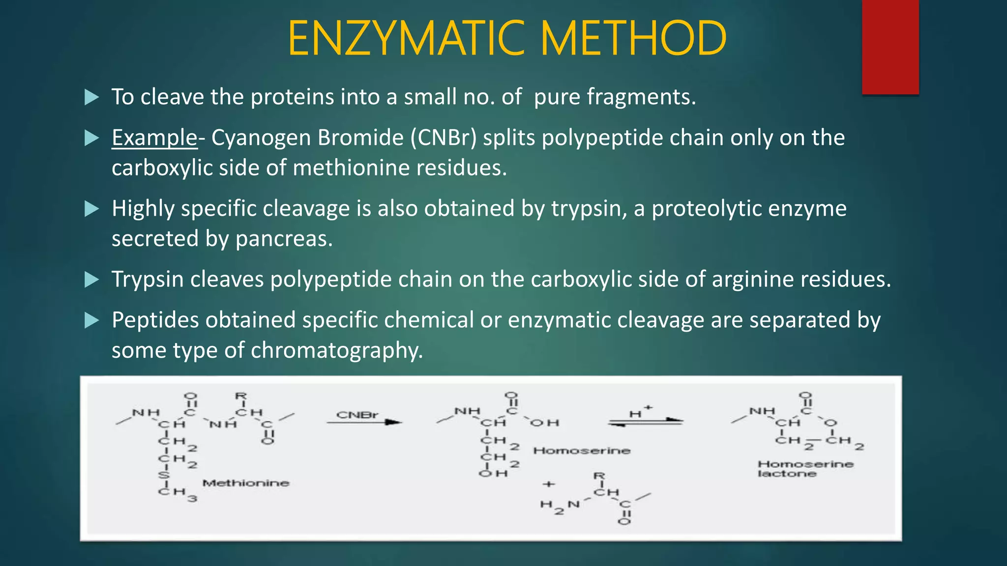 ENZYMATIC METHOD
 To cleave the proteins into a small no. of pure fragments.
 Example- Cyanogen Bromide (CNBr) splits polypeptide chain only on the
carboxylic side of methionine residues.
 Highly specific cleavage is also obtained by trypsin, a proteolytic enzyme
secreted by pancreas.
 Trypsin cleaves polypeptide chain on the carboxylic side of arginine residues.
 Peptides obtained specific chemical or enzymatic cleavage are separated by
some type of chromatography.
 