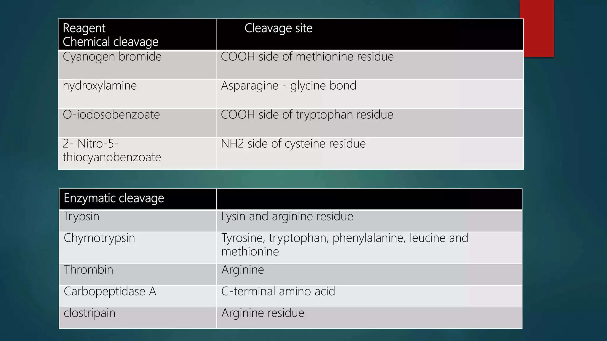 Reagent
Chemical cleavage
Cleavage site
Cyanogen bromide COOH side of methionine residue
hydroxylamine Asparagine - glycine bond
O-iodosobenzoate COOH side of tryptophan residue
2- Nitro-5-
thiocyanobenzoate
NH2 side of cysteine residue
Enzymatic cleavage
Trypsin Lysin and arginine residue
Chymotrypsin Tyrosine, tryptophan, phenylalanine, leucine and
methionine
Thrombin Arginine
Carbopeptidase A C-terminal amino acid
clostripain Arginine residue
 