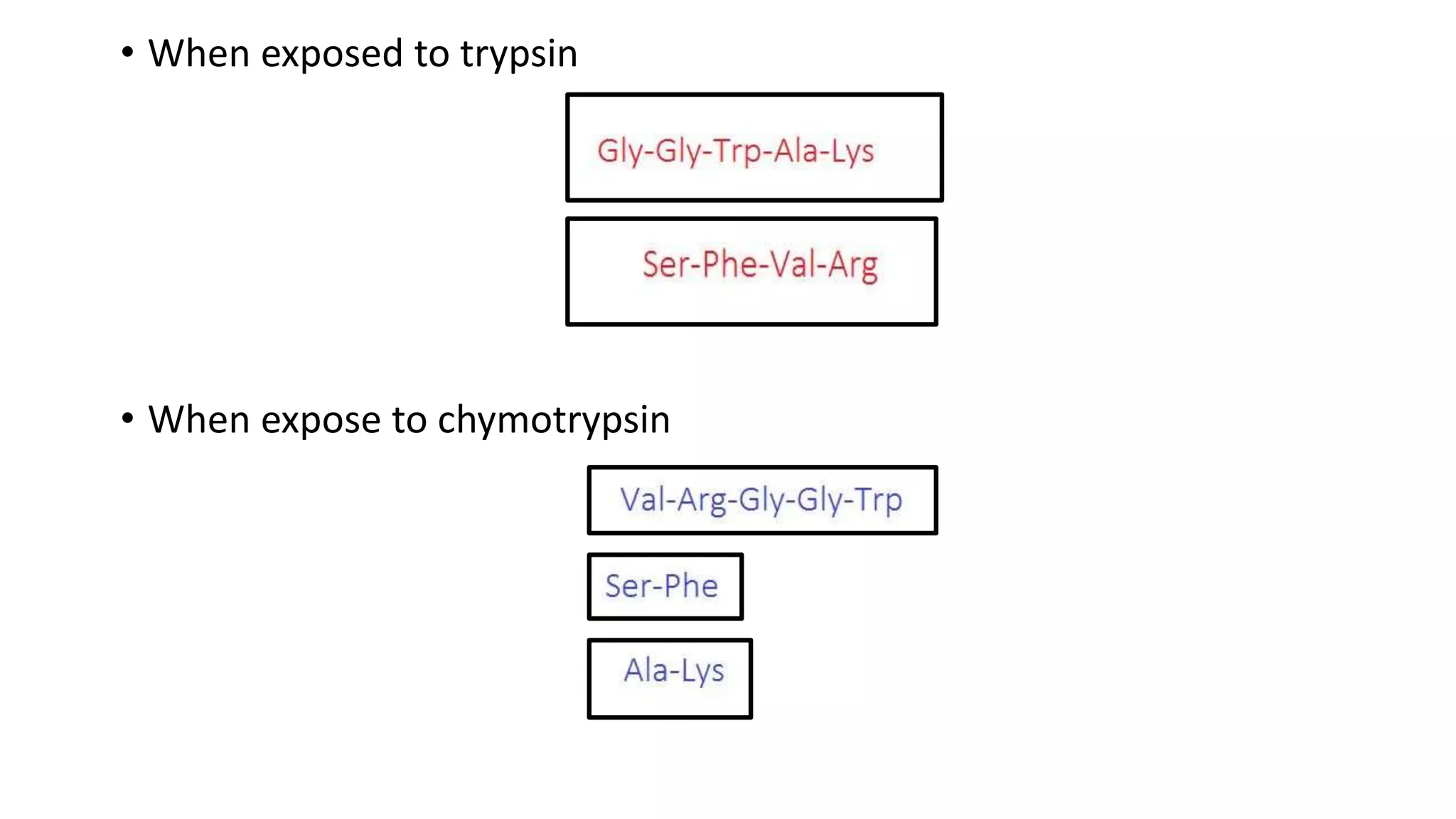 • When exposed to trypsin
• When expose to chymotrypsin
 