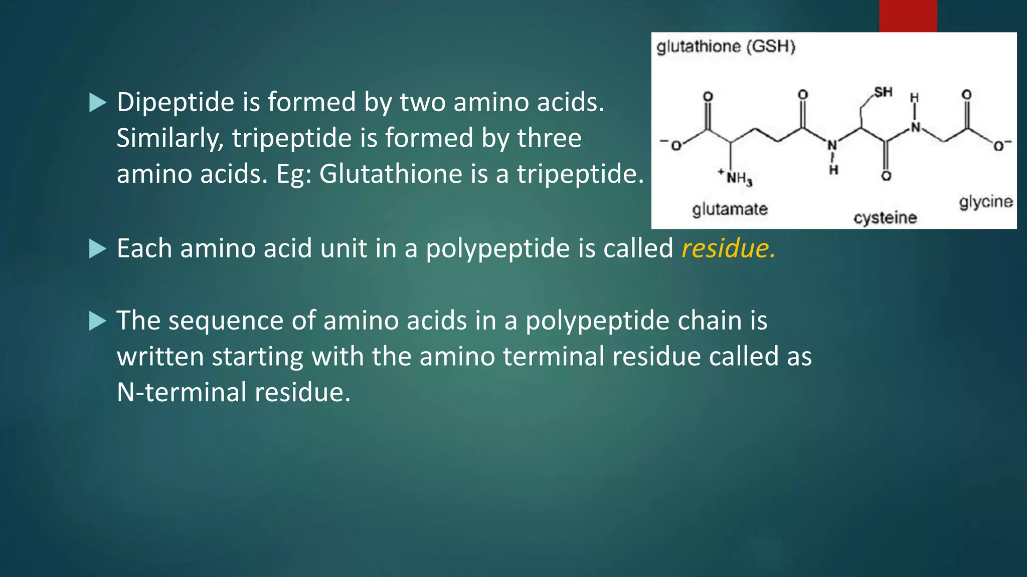  Dipeptide is formed by two amino acids.
Similarly, tripeptide is formed by three
amino acids. Eg: Glutathione is a tripeptide.
 Each amino acid unit in a polypeptide is called residue.
 The sequence of amino acids in a polypeptide chain is
written starting with the amino terminal residue called as
N-terminal residue.
 