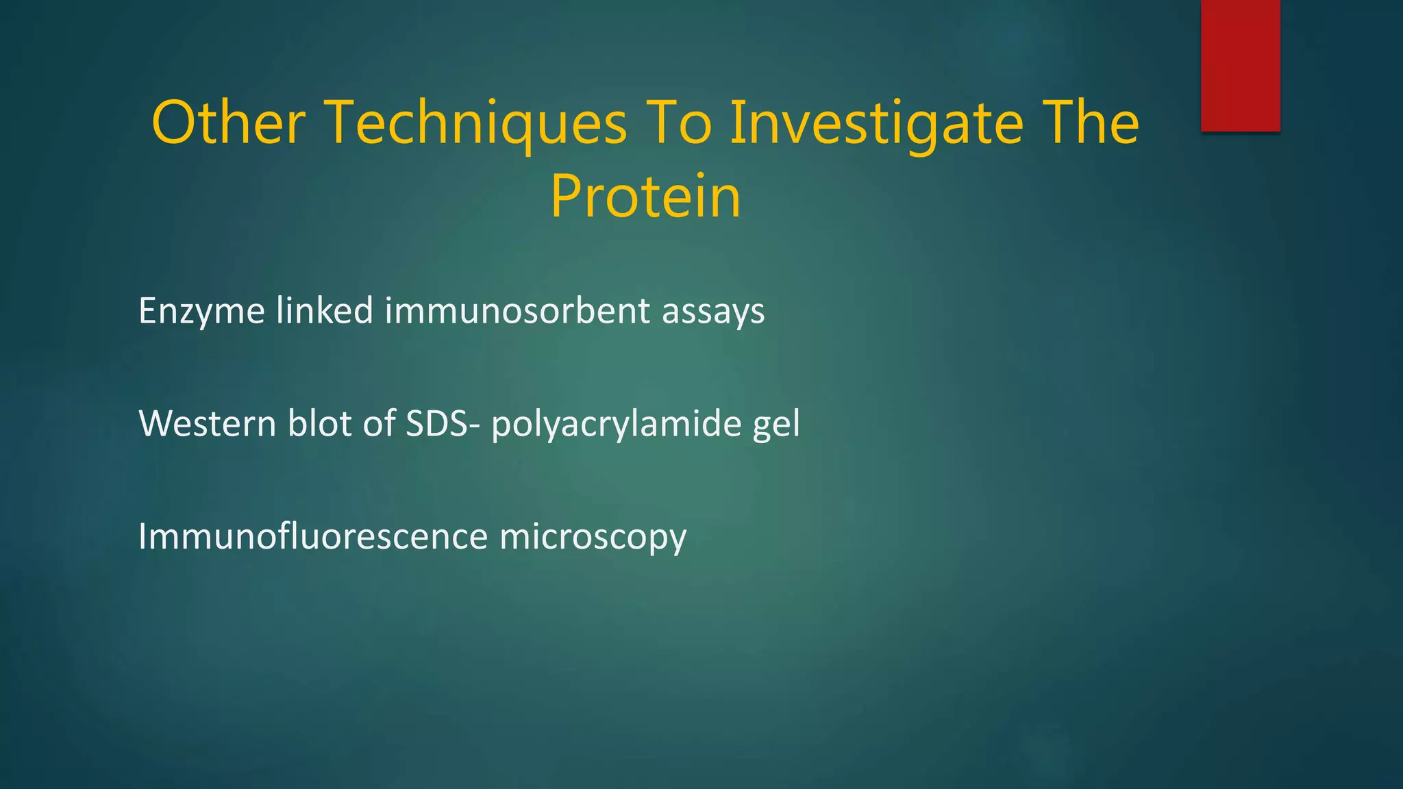 Enzyme linked immunosorbent assays
Western blot of SDS- polyacrylamide gel
Immunofluorescence microscopy
Other Techniques To Investigate The
Protein
 