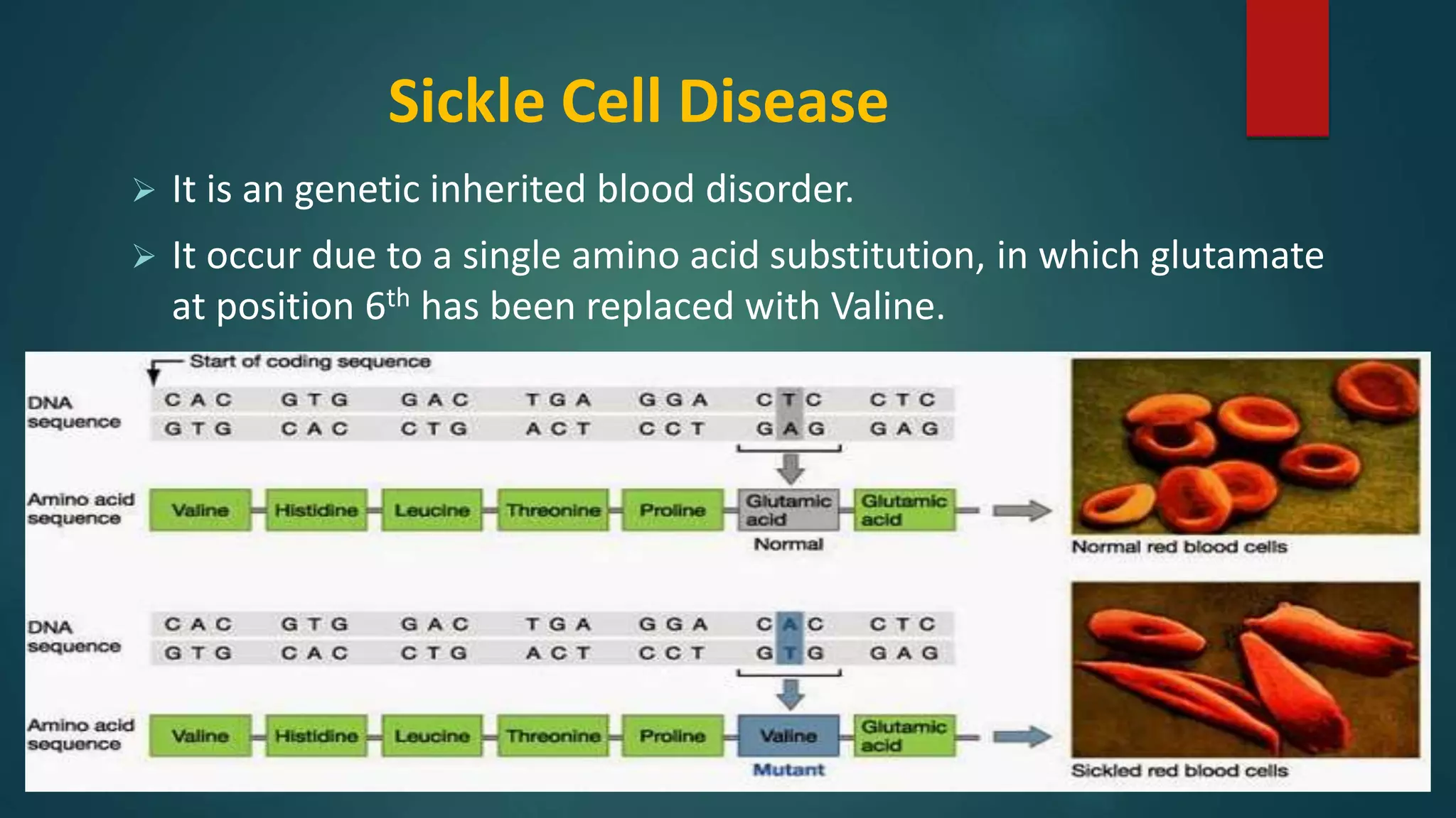 Sickle Cell Disease
 It is an genetic inherited blood disorder.
 It occur due to a single amino acid substitution, in which glutamate
at position 6th has been replaced with Valine.
 