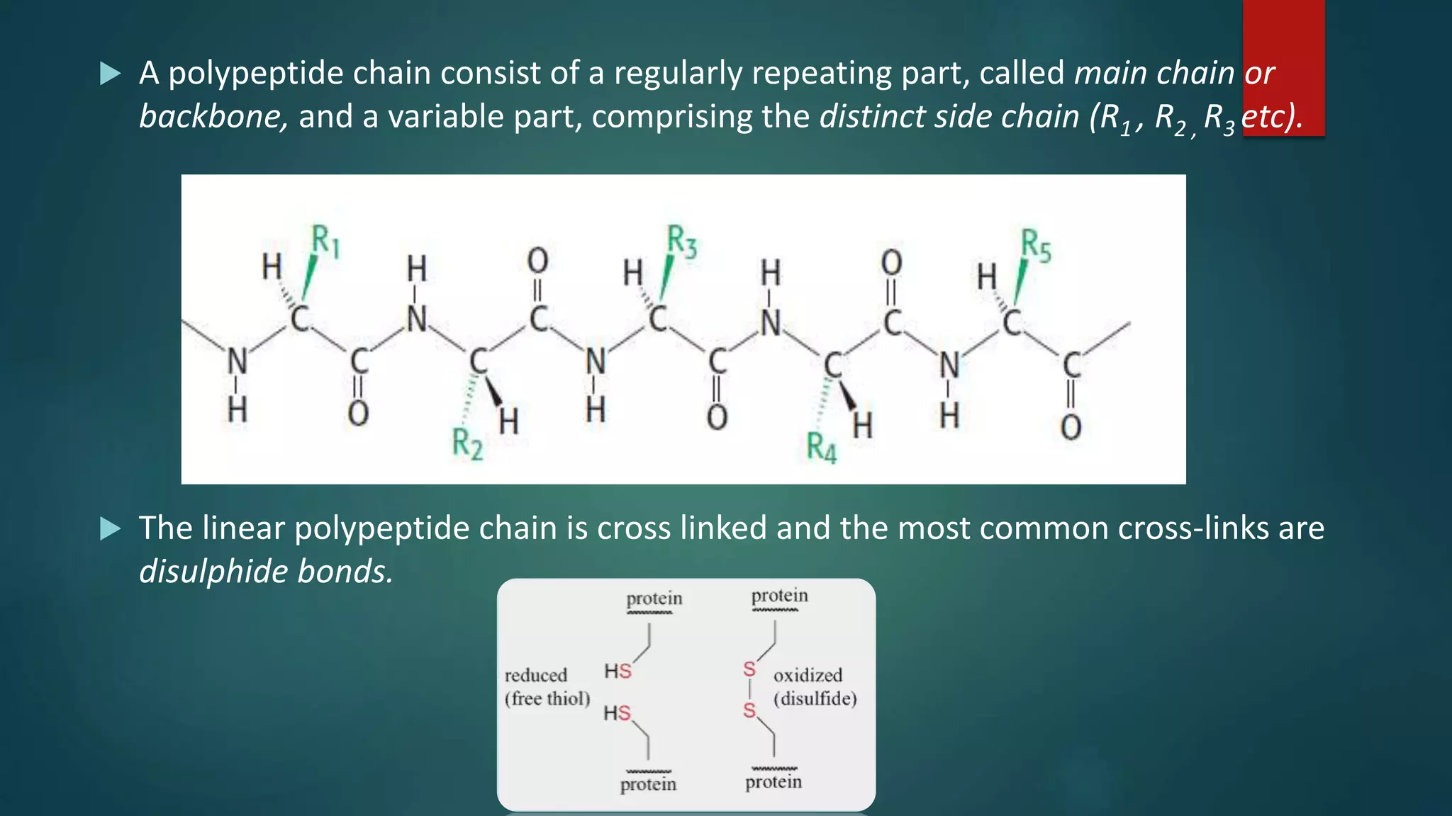  A polypeptide chain consist of a regularly repeating part, called main chain or
backbone, and a variable part, comprising the distinct side chain (R1 , R2 , R3 etc).
 The linear polypeptide chain is cross linked and the most common cross-links are
disulphide bonds.
 
