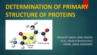 DETERMINATION OF PRIMARY
STRUCTURE OF PROTEINS
PRADEEP SINGH, HINA YASEEN
M.Sc. Medical Biochemistry
HIMSR, JAMIA HAMDARD
 