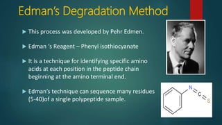 Determination of primary structure of proteins | PPTX