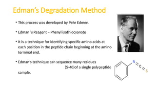 determination of primary structure of protein_DR_RPOJHA.pptx