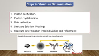 1. Protein purification.
2. Protein crystallization.
3. Data collection.
4. Structure Solution (Phasing)
5. Structure determination (Model building and refinement)
Steps in Structure Determination
 