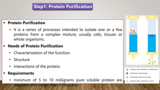  Protein Purification
• It is a series of processes intended to isolate one or a few
proteins from a complex mixture, usually cells, tissues or
whole organisms.
 Needs of Protein Purification
• Characterization of the function.
• Structure
• Interactions of the protein.
 Requirements
• minimum of 5 to 10 milligrams pure soluble protein are
required with better than 95% purity
Step1: Protein Purification
 
