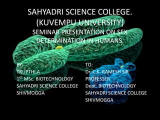 SAHYADRI SCIENCE COLLEGE.
(KUVEMPU UNIVERSITY)
SEMINAR PRESENTATION ON SEX
DETERMINATION IN HUMANS.
TO:
Dr. C.K. RAMESH SIR
PROFESSER
Dept. BIOTECHNOLOGY
SAHYADRI SCIENCE COLLEGE
SHIVMOGGA
BY:
TRUPTHI.A
1ST MSc. BIOTECHNOLOGY
SAHYADRI SCIENCE COLLEGE
SHIVMOGGA
 