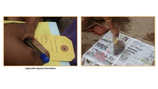 Collection and processing of soil  samples for analysis