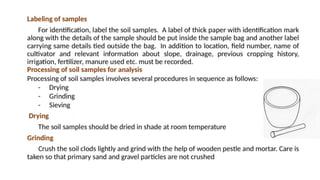 Collection and processing of soil  samples for analysis