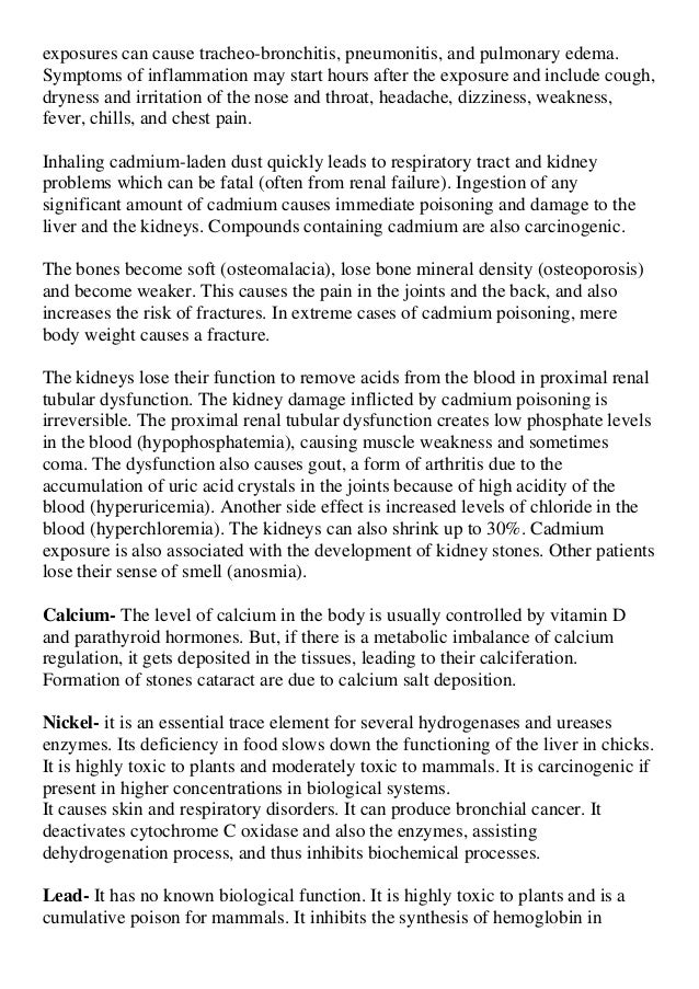 Om Mahaprana Deepam Lyrics In Telugu Download