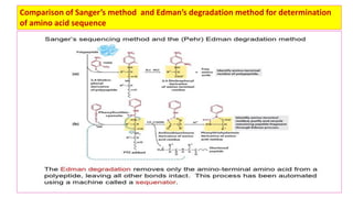 Determination of structure of proteins | PDF