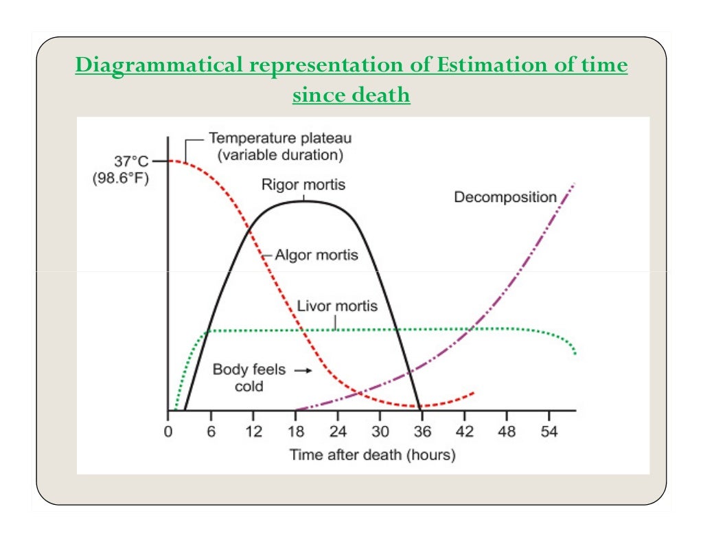 Determination of time since death/ postmortem time interval