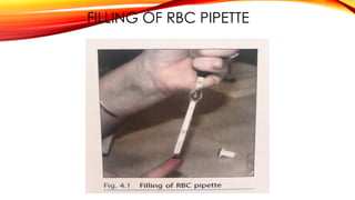 Determination of total erythrocyte (rbc) count.pdf