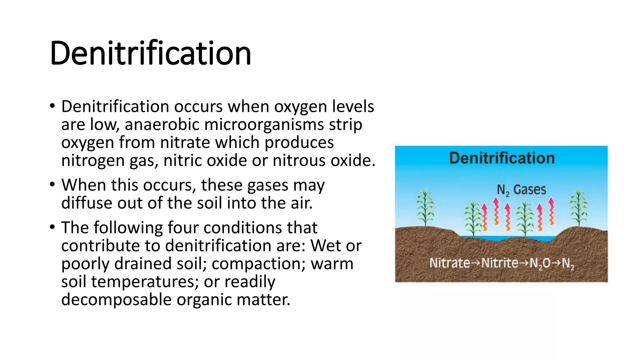 Determination of Total Nitrogen in Soil by Semi Micro Kjeldahl Method PPT