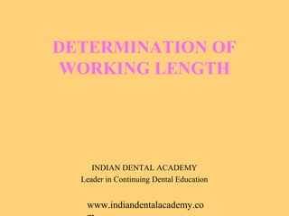 DETERMINATION OF
 WORKING LENGTH




     INDIAN DENTAL ACADEMY
  Leader in Continuing Dental Education


   www.indiandentalacademy.co
 