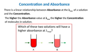 Determine DNA Concentration Slides.pptx, | PPTX