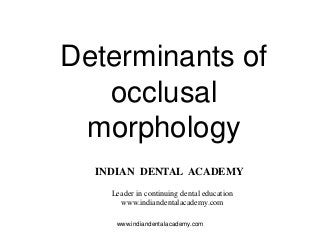 Determinants of
occlusal
morphology
INDIAN DENTAL ACADEMY
Leader in continuing dental education
www.indiandentalacademy.com
www.indiandentalacademy.com
 