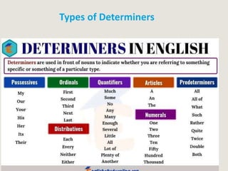 Types of Determiners
 