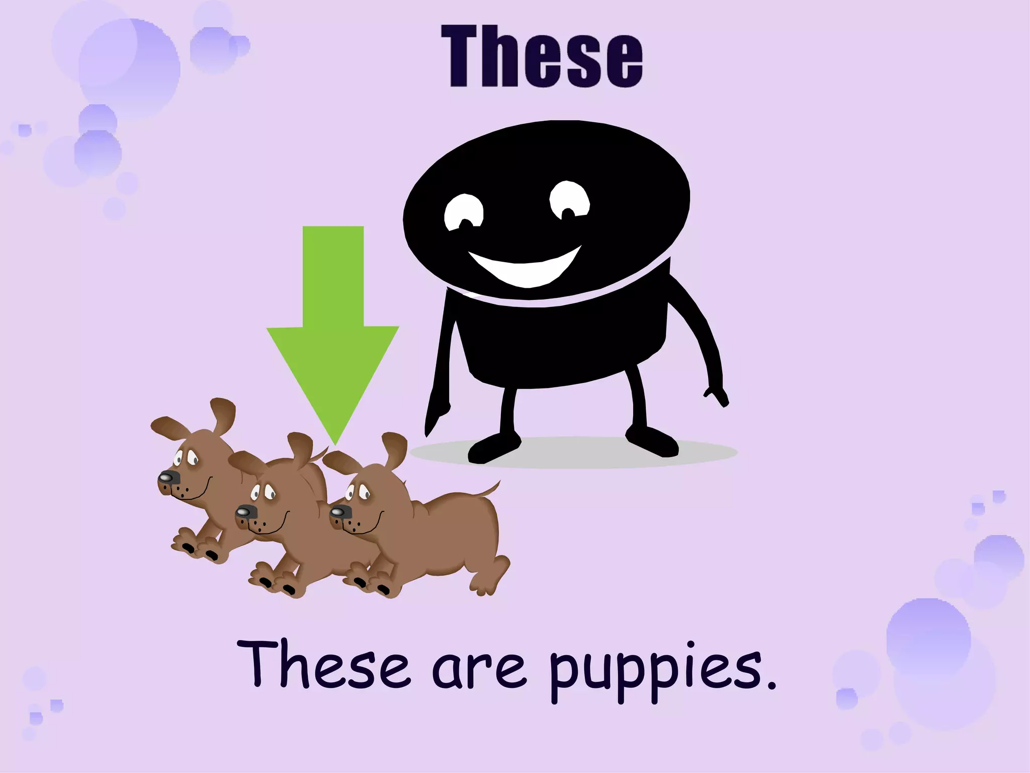 These are puppies.
 