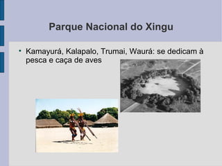 Parque Nacional do Xingu


    Kamayurá, Kalapalo, Trumai, Waurá: se dedicam à
    pesca e caça de aves
 