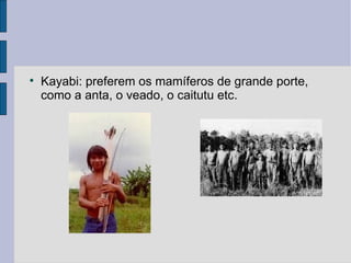 
    Kayabi: preferem os mamíferos de grande porte,
    como a anta, o veado, o caitutu etc.
 