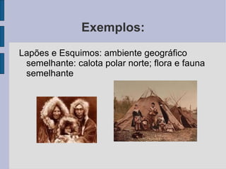Exemplos:
Lapões e Esquimos: ambiente geográfico
 semelhante: calota polar norte; flora e fauna
 semelhante
 
