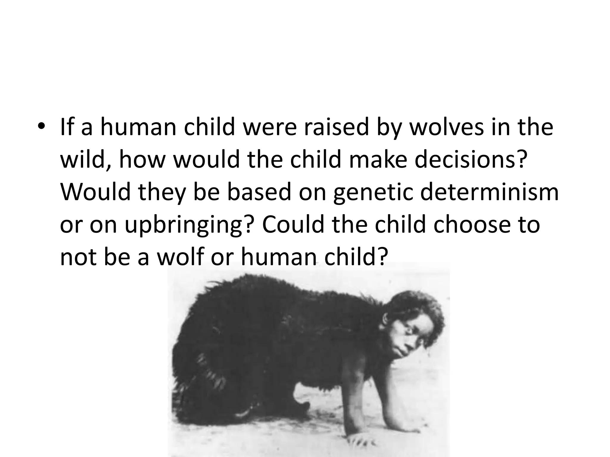 • If a human child were raised by wolves in the
  wild, how would the child make decisions?
  Would they be based on genetic determinism
  or on upbringing? Could the child choose to
  not be a wolf or human child?
 