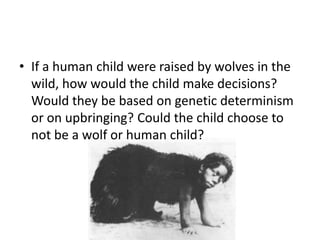 • If a human child were raised by wolves in the
  wild, how would the child make decisions?
  Would they be based on genetic determinism
  or on upbringing? Could the child choose to
  not be a wolf or human child?
 