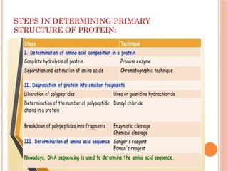 determination of primary structure of protein | PPTX