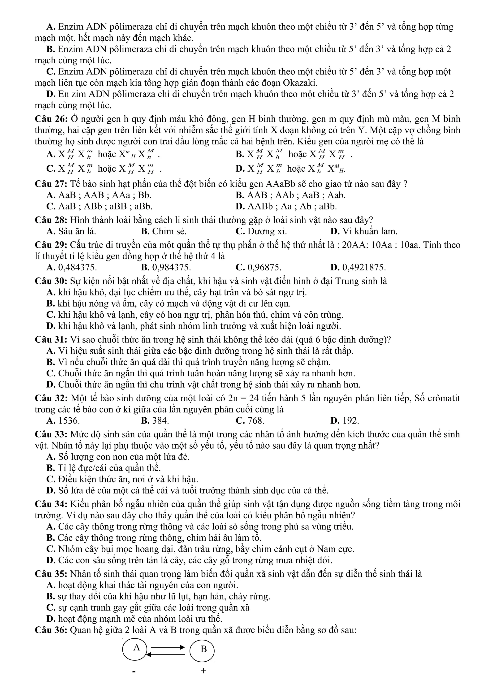 A. Enzim ADN pôlimeraza chỉ di chuyển trên mạch khuôn theo một chiều từ 3’ đến 5’ và tổng hợp từng
mạch một, hết mạch này đến mạch khác.
B. Enzim ADN pôlimeraza chỉ di chuyển trên mạch khuôn theo một chiều từ 5’ đến 3’ và tổng hợp cả 2
mạch cùng một lúc.
C. Enzim ADN pôlimeraza chỉ di chuyển trên mạch khuôn theo một chiều từ 5’ đến 3’ và tổng hợp một
mạch liên tục còn mạch kia tổng hợp gián đoạn thành các đoạn Okazaki.
D. En zim ADN pôlimeraza chỉ di chuyển trên mạch khuôn theo một chiều từ 3’ đến 5’ và tổng hợp cả 2
mạch cùng một lúc.
Câu 26: Ở người gen h quy định máu khó đông, gen H bình thường, gen m quy định mù màu, gen M bình
thường, hai cặp gen trên liên kết với nhiễm sắc thể giới tính X đoạn không có trên Y. Một cặp vợ chồng bình
thường họ sinh được người con trai đầu lòng mắc cả hai bệnh trên. Kiểu gen của người mẹ có thể là
A. X M
H X
m
h hoặc Xm
H X
M
h . B. X M
H X
M
h hoặc X M
H X m
H .
C. X M
H X
m
h hoặc X M
H X m
H . D. X M
H X
m
h hoặc X
M
h XM
H.
Câu 27: Tế bào sinh hạt phấn của thể đột biến có kiểu gen AAaBb sẽ cho giao tử nào sau đây ?
A. AaB ; AAB ; AAa ; Bb. B. AAB ; AAb ; AaB ; Aab.
C. AaB ; ABb ; aBB ; aBb. D. AABb ; Aa ; Ab ; aBb.
Câu 28: Hình thành loài bằng cách li sinh thái thường gặp ở loài sinh vật nào sau đây?
A. Sâu ăn lá. B. Chim sẻ. C. Dương xỉ. D. Vi khuẩn lam.
Câu 29: Cấu trúc di truyền của một quần thể tự thụ phấn ở thế hệ thứ nhất là : 20AA: 10Aa : 10aa. Tính theo
lí thuyết tỉ lệ kiểu gen đồng hợp ở thế hệ thứ 4 là
A. 0,484375. B. 0,984375. C. 0,96875. D. 0,4921875.
Câu 30: Sự kiện nổi bật nhất về địa chất, khí hậu và sinh vật điển hình ở đại Trung sinh là
A. khí hậu khô, đại lục chiếm ưu thế, cây hạt trần và bò sát ngự trị.
B. khí hậu nóng và ẩm, cây có mạch và động vật di cư lên cạn.
C. khí hậu khô và lạnh, cây có hoa ngự trị, phân hóa thú, chim và côn trùng.
D. khí hậu khô và lạnh, phát sinh nhóm linh trưởng và xuất hiện loài người.
Câu 31: Vì sao chuỗi thức ăn trong hệ sinh thái không thể kéo dài (quá 6 bậc dinh dưỡng)?
A. Vì hiệu suất sinh thái giữa các bậc dinh dưỡng trong hệ sinh thái là rất thấp.
B. Vì nếu chuỗi thức ăn quá dài thì quá trình truyền năng lượng sẽ chậm.
C. Chuỗi thức ăn ngắn thì quá trình tuần hoàn năng lượng sẽ xảy ra nhanh hơn.
D. Chuỗi thức ăn ngắn thì chu trình vật chất trong hệ sinh thái xảy ra nhanh hơn.
Câu 32: Một tế bào sinh dưỡng của một loài có 2n = 24 tiến hành 5 lần nguyên phân liên tiếp, Số crômatit
trong các tế bào con ở kì giữa của lần nguyên phân cuối cùng là
A. 1536. B. 384. C. 768. D. 192.
Câu 33: Mức độ sinh sản của quần thể là một trong các nhân tố ảnh hưởng đến kích thước của quần thể sinh
vật. Nhân tố này lại phụ thuộc vào một số yếu tố, yếu tố nào sau đây là quan trọng nhất?
A. Số lượng con non của một lứa đẻ.
B. Tỉ lệ đực/cái của quần thể.
C. Điều kiện thức ăn, nơi ở và khí hậu.
D. Số lứa đẻ của một cá thể cái và tuổi trưởng thành sinh dục của cá thể.
Câu 34: Kiểu phân bố ngẫu nhiên của quần thể giúp sinh vật tận dụng được nguồn sống tiềm tàng trong môi
trường. Ví dụ nào sau đây cho thấy quần thể của loài có kiểu phân bố ngẫu nhiên?
A. Các cây thông trong rừng thông và các loài sò sống trong phù sa vùng triều.
B. Các cây thông trong rừng thông, chim hải âu làm tổ.
C. Nhóm cây bụi mọc hoang dại, đàn trâu rừng, bầy chim cánh cụt ở Nam cực.
D. Các con sâu sống trên tán lá cây, các cây gỗ trong rừng mưa nhiệt đới.
Câu 35: Nhân tố sinh thái quan trọng làm biến đổi quần xã sinh vật dẫn đến sự diễn thế sinh thái là
A. hoạt động khai thác tài nguyên của con người.
B. sự thay đổi của khí hậu như lũ lụt, hạn hán, cháy rừng.
C. sự cạnh tranh gay gắt giữa các loài trong quần xã
D. hoạt động mạnh mẽ của nhóm loài ưu thế.
Câu 36: Quan hệ giữa 2 loài A và B trong quần xã được biểu diễn bằng sơ đồ sau:
A B
- +
 