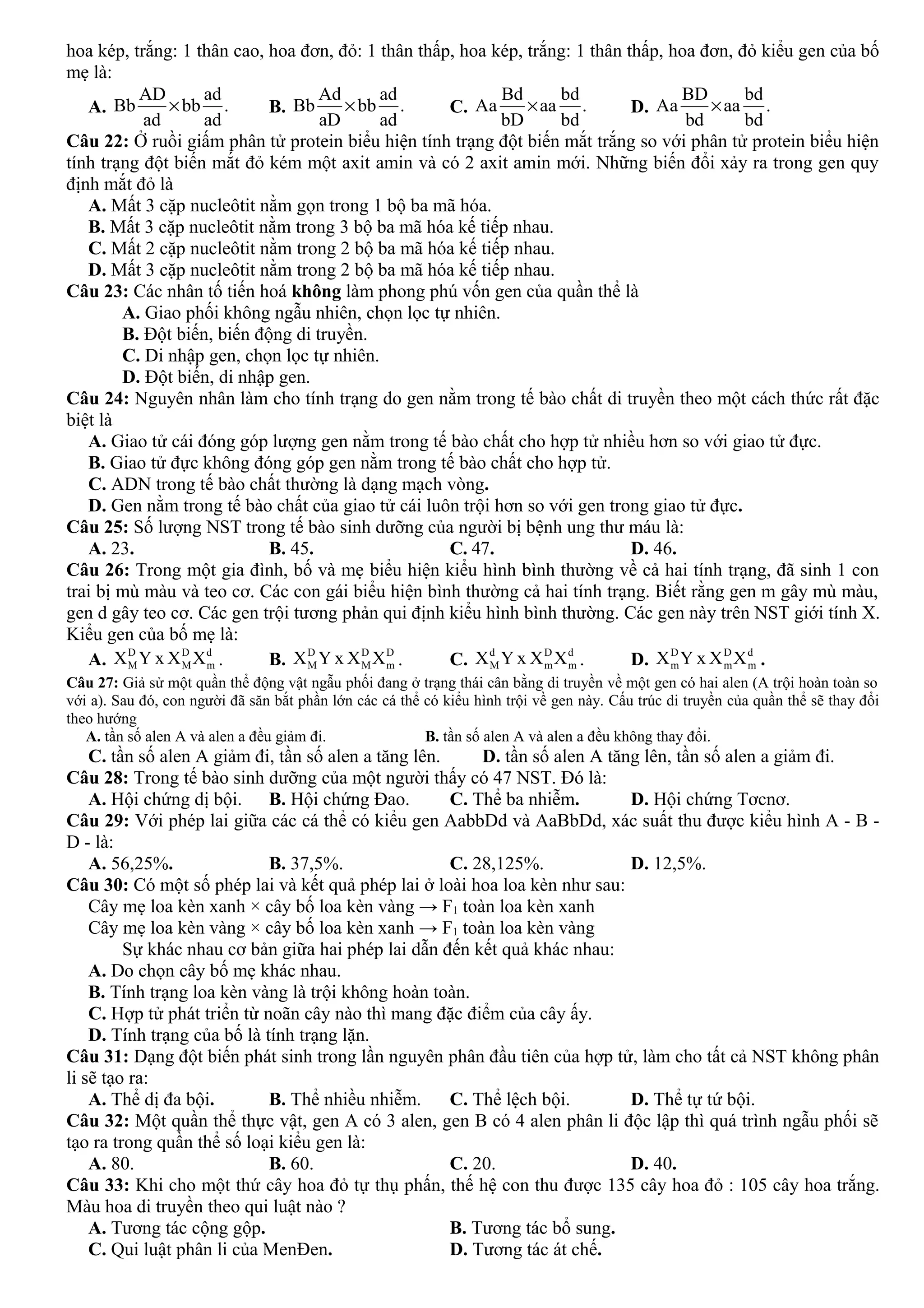 hoa kép, trắng: 1 thân cao, hoa đơn, đỏ: 1 thân thấp, hoa kép, trắng: 1 thân thấp, hoa đơn, đỏ kiểu gen của bố
mẹ là:
A. .
ad
ad
bb
ad
AD
Bb × B. .
ad
ad
bb
aD
Ad
Bb × C. .
bd
bd
aa
bD
Bd
Aa × D. .
bd
bd
aa
bd
BD
Aa ×
Câu 22: Ở ruồi giấm phân tử protein biểu hiện tính trạng đột biến mắt trắng so với phân tử protein biểu hiện
tính trạng đột biến mắt đỏ kém một axit amin và có 2 axit amin mới. Những biến đổi xảy ra trong gen quy
định mắt đỏ là
A. Mất 3 cặp nucleôtit nằm gọn trong 1 bộ ba mã hóa.
B. Mất 3 cặp nucleôtit nằm trong 3 bộ ba mã hóa kế tiếp nhau.
C. Mất 2 cặp nucleôtit nằm trong 2 bộ ba mã hóa kế tiếp nhau.
D. Mất 3 cặp nucleôtit nằm trong 2 bộ ba mã hóa kế tiếp nhau.
Câu 23: Các nhân tố tiến hoá không làm phong phú vốn gen của quần thể là
A. Giao phối không ngẫu nhiên, chọn lọc tự nhiên.
B. Đột biến, biến động di truyền.
C. Di nhập gen, chọn lọc tự nhiên.
D. Đột biến, di nhập gen.
Câu 24: Nguyên nhân làm cho tính trạng do gen nằm trong tế bào chất di truyền theo một cách thức rất đặc
biệt là
A. Giao tử cái đóng góp lượng gen nằm trong tế bào chất cho hợp tử nhiều hơn so với giao tử đực.
B. Giao tử đực không đóng góp gen nằm trong tế bào chất cho hợp tử.
C. ADN trong tế bào chất thường là dạng mạch vòng.
D. Gen nằm trong tế bào chất của giao tử cái luôn trội hơn so với gen trong giao tử đực.
Câu 25: Số lượng NST trong tế bào sinh dưỡng của người bị bệnh ung thư máu là:
A. 23. B. 45. C. 47. D. 46.
Câu 26: Trong một gia đình, bố và mẹ biểu hiện kiểu hình bình thường về cả hai tính trạng, đã sinh 1 con
trai bị mù màu và teo cơ. Các con gái biểu hiện bình thường cả hai tính trạng. Biết rằng gen m gây mù màu,
gen d gây teo cơ. Các gen trội tương phản qui định kiểu hình bình thường. Các gen này trên NST giới tính X.
Kiểu gen của bố mẹ là:
A.
D D d
M M mX Y x X X . B.
D D D
M M mX Y x X X . C.
d D d
M m mX Y x X X . D.
D D d
m m mX Y x X X .
Câu 27: Giả sử một quần thể động vật ngẫu phối đang ở trạng thái cân bằng di truyền về một gen có hai alen (A trội hoàn toàn so
với a). Sau đó, con người đã săn bắt phần lớn các cá thể có kiểu hình trội về gen này. Cấu trúc di truyền của quần thể sẽ thay đổi
theo hướng
A. tần số alen A và alen a đều giảm đi. B. tần số alen A và alen a đều không thay đổi.
C. tần số alen A giảm đi, tần số alen a tăng lên. D. tần số alen A tăng lên, tần số alen a giảm đi.
Câu 28: Trong tế bào sinh dưỡng của một người thấy có 47 NST. Đó là:
A. Hội chứng dị bội. B. Hội chứng Đao. C. Thể ba nhiễm. D. Hội chứng Tơcnơ.
Câu 29: Với phép lai giữa các cá thể có kiểu gen AabbDd và AaBbDd, xác suất thu được kiểu hình A - B -
D - là:
A. 56,25%. B. 37,5%. C. 28,125%. D. 12,5%.
Câu 30: Có một số phép lai và kết quả phép lai ở loài hoa loa kèn như sau:
Cây mẹ loa kèn xanh × cây bố loa kèn vàng → F1 toàn loa kèn xanh
Cây mẹ loa kèn vàng × cây bố loa kèn xanh → F1 toàn loa kèn vàng
Sự khác nhau cơ bản giữa hai phép lai dẫn đến kết quả khác nhau:
A. Do chọn cây bố mẹ khác nhau.
B. Tính trạng loa kèn vàng là trội không hoàn toàn.
C. Hợp tử phát triển từ noãn cây nào thì mang đặc điểm của cây ấy.
D. Tính trạng của bố là tính trạng lặn.
Câu 31: Dạng đột biến phát sinh trong lần nguyên phân đầu tiên của hợp tử, làm cho tất cả NST không phân
li sẽ tạo ra:
A. Thể dị đa bội. B. Thể nhiều nhiễm. C. Thể lệch bội. D. Thể tự tứ bội.
Câu 32: Một quần thể thực vật, gen A có 3 alen, gen B có 4 alen phân li độc lập thì quá trình ngẫu phối sẽ
tạo ra trong quần thể số loại kiểu gen là:
A. 80. B. 60. C. 20. D. 40.
Câu 33: Khi cho một thứ cây hoa đỏ tự thụ phấn, thế hệ con thu được 135 cây hoa đỏ : 105 cây hoa trắng.
Màu hoa di truyền theo qui luật nào ?
A. Tương tác cộng gộp. B. Tương tác bổ sung.
C. Qui luật phân li của MenĐen. D. Tương tác át chế.
 
