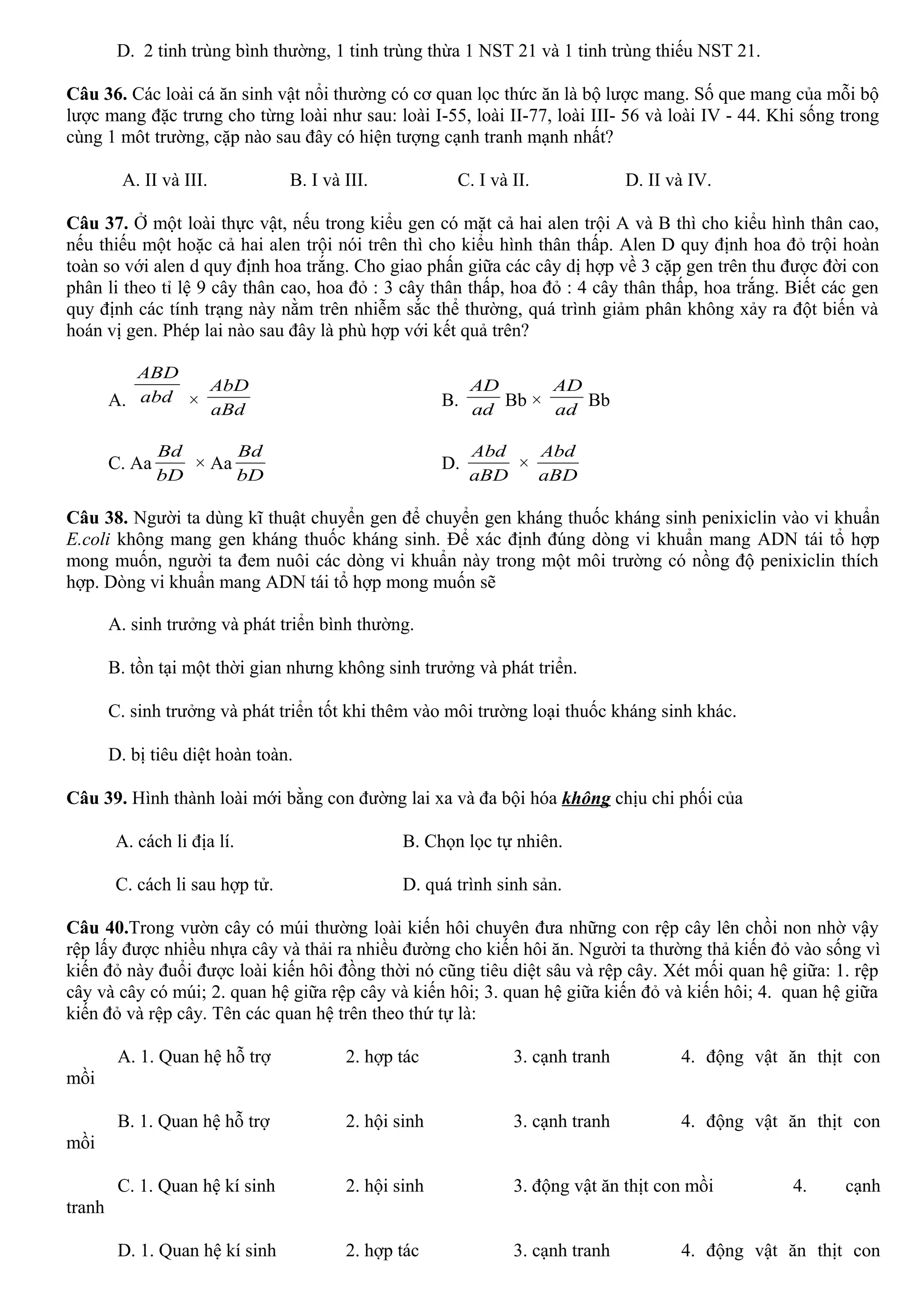 D. 2 tinh trùng bình thường, 1 tinh trùng thừa 1 NST 21 và 1 tinh trùng thiếu NST 21.
Câu 36. Các loài cá ăn sinh vật nổi thường có cơ quan lọc thức ăn là bộ lược mang. Số que mang của mỗi bộ
lược mang đặc trưng cho từng loài như sau: loài I-55, loài II-77, loài III- 56 và loài IV - 44. Khi sống trong
cùng 1 môt trường, cặp nào sau đây có hiện tượng cạnh tranh mạnh nhất?
A. II và III. B. I và III. C. I và II. D. II và IV.
Câu 37. Ở một loài thực vật, nếu trong kiểu gen có mặt cả hai alen trội A và B thì cho kiểu hình thân cao,
nếu thiếu một hoặc cả hai alen trội nói trên thì cho kiểu hình thân thấp. Alen D quy định hoa đỏ trội hoàn
toàn so với alen d quy định hoa trắng. Cho giao phấn giữa các cây dị hợp về 3 cặp gen trên thu được đời con
phân li theo tỉ lệ 9 cây thân cao, hoa đỏ : 3 cây thân thấp, hoa đỏ : 4 cây thân thấp, hoa trắng. Biết các gen
quy định các tính trạng này nằm trên nhiễm sắc thể thường, quá trình giảm phân không xảy ra đột biến và
hoán vị gen. Phép lai nào sau đây là phù hợp với kết quả trên?
A. abd
ABD
× aBd
AbD
B. ad
AD
Bb × ad
AD
Bb
C. Aa
bD
Bd
× Aa
bD
Bd
D.
aBD
Abd
×
aBD
Abd
Câu 38. Người ta dùng kĩ thuật chuyển gen để chuyển gen kháng thuốc kháng sinh penixiclin vào vi khuẩn
E.coli không mang gen kháng thuốc kháng sinh. Để xác định đúng dòng vi khuẩn mang ADN tái tổ hợp
mong muốn, người ta đem nuôi các dòng vi khuẩn này trong một môi trường có nồng độ penixiclin thích
hợp. Dòng vi khuẩn mang ADN tái tổ hợp mong muốn sẽ
A. sinh trưởng và phát triển bình thường.
B. tồn tại một thời gian nhưng không sinh trưởng và phát triển.
C. sinh trưởng và phát triển tốt khi thêm vào môi trường loại thuốc kháng sinh khác.
D. bị tiêu diệt hoàn toàn.
Câu 39. Hình thành loài mới bằng con đường lai xa và đa bội hóa không chịu chi phối của
A. cách li địa lí. B. Chọn lọc tự nhiên.
C. cách li sau hợp tử. D. quá trình sinh sản.
Câu 40.Trong vườn cây có múi thường loài kiến hôi chuyên đưa những con rệp cây lên chồi non nhờ vậy
rệp lấy được nhiều nhựa cây và thải ra nhiều đường cho kiến hôi ăn. Người ta thường thả kiến đỏ vào sống vì
kiến đỏ này đuổi được loài kiến hôi đồng thời nó cũng tiêu diệt sâu và rệp cây. Xét mối quan hệ giữa: 1. rệp
cây và cây có múi; 2. quan hệ giữa rệp cây và kiến hôi; 3. quan hệ giữa kiến đỏ và kiến hôi; 4. quan hệ giữa
kiến đỏ và rệp cây. Tên các quan hệ trên theo thứ tự là:
A. 1. Quan hệ hỗ trợ 2. hợp tác 3. cạnh tranh 4. động vật ăn thịt con
mồi
B. 1. Quan hệ hỗ trợ 2. hội sinh 3. cạnh tranh 4. động vật ăn thịt con
mồi
C. 1. Quan hệ kí sinh 2. hội sinh 3. động vật ăn thịt con mồi 4. cạnh
tranh
D. 1. Quan hệ kí sinh 2. hợp tác 3. cạnh tranh 4. động vật ăn thịt con
 