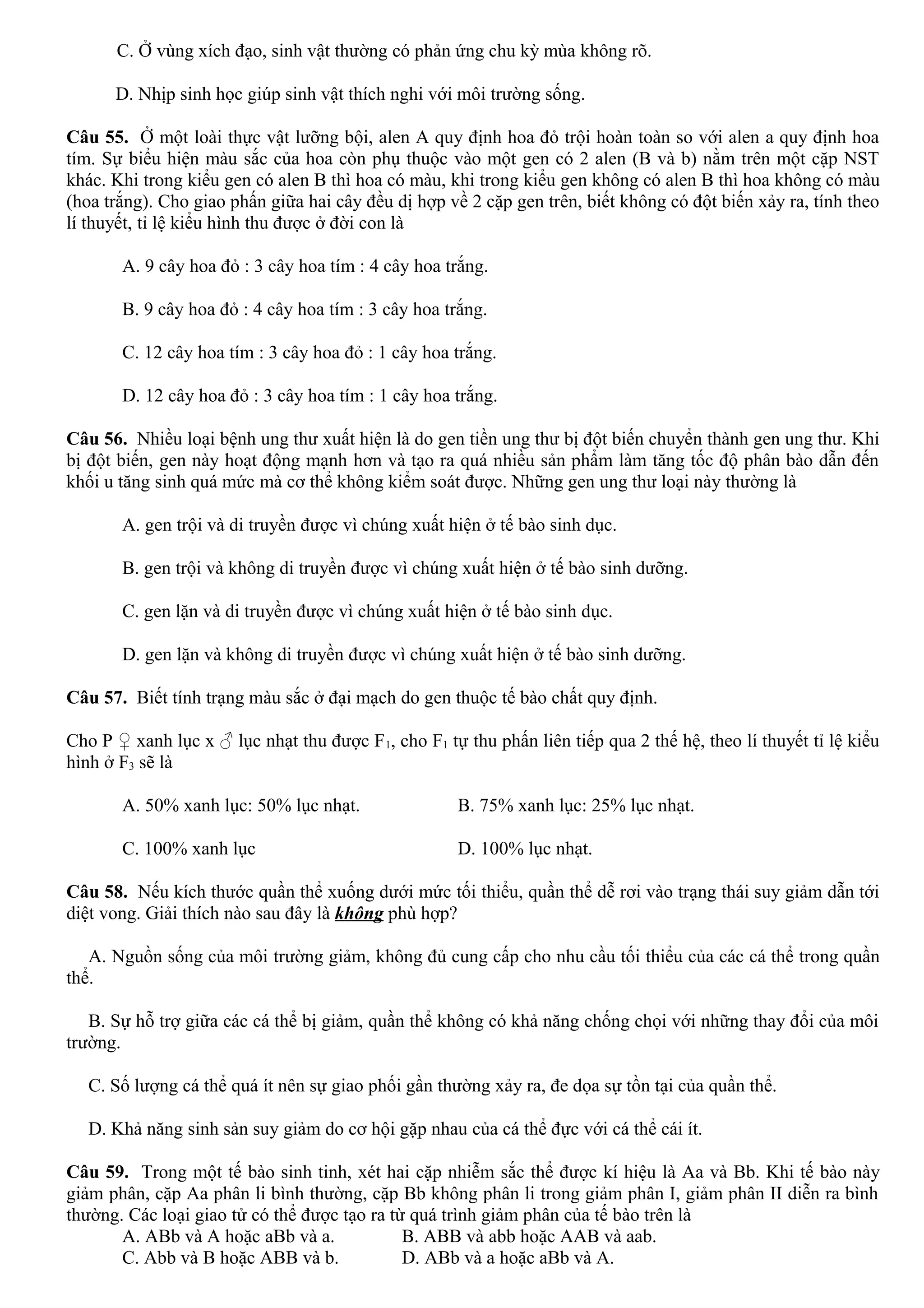 C. Ở vùng xích đạo, sinh vật thường có phản ứng chu kỳ mùa không rõ.
D. Nhịp sinh học giúp sinh vật thích nghi với môi trường sống.
Câu 55. Ở một loài thực vật lưỡng bội, alen A quy định hoa đỏ trội hoàn toàn so với alen a quy định hoa
tím. Sự biểu hiện màu sắc của hoa còn phụ thuộc vào một gen có 2 alen (B và b) nằm trên một cặp NST
khác. Khi trong kiểu gen có alen B thì hoa có màu, khi trong kiểu gen không có alen B thì hoa không có màu
(hoa trắng). Cho giao phấn giữa hai cây đều dị hợp về 2 cặp gen trên, biết không có đột biến xảy ra, tính theo
lí thuyết, tỉ lệ kiểu hình thu được ở đời con là
A. 9 cây hoa đỏ : 3 cây hoa tím : 4 cây hoa trắng.
B. 9 cây hoa đỏ : 4 cây hoa tím : 3 cây hoa trắng.
C. 12 cây hoa tím : 3 cây hoa đỏ : 1 cây hoa trắng.
D. 12 cây hoa đỏ : 3 cây hoa tím : 1 cây hoa trắng.
Câu 56. Nhiều loại bệnh ung thư xuất hiện là do gen tiền ung thư bị đột biến chuyển thành gen ung thư. Khi
bị đột biến, gen này hoạt động mạnh hơn và tạo ra quá nhiều sản phẩm làm tăng tốc độ phân bào dẫn đến
khối u tăng sinh quá mức mà cơ thể không kiểm soát được. Những gen ung thư loại này thường là
A. gen trội và di truyền được vì chúng xuất hiện ở tế bào sinh dục.
B. gen trội và không di truyền được vì chúng xuất hiện ở tế bào sinh dưỡng.
C. gen lặn và di truyền được vì chúng xuất hiện ở tế bào sinh dục.
D. gen lặn và không di truyền được vì chúng xuất hiện ở tế bào sinh dưỡng.
Câu 57. Biết tính trạng màu sắc ở đại mạch do gen thuộc tế bào chất quy định.
Cho P ♀ xanh lục x ♂ lục nhạt thu được F1, cho F1 tự thu phấn liên tiếp qua 2 thế hệ, theo lí thuyết tỉ lệ kiểu
hình ở F3 sẽ là
A. 50% xanh lục: 50% lục nhạt. B. 75% xanh lục: 25% lục nhạt.
C. 100% xanh lục D. 100% lục nhạt.
Câu 58. Nếu kích thước quần thể xuống dưới mức tối thiểu, quần thể dễ rơi vào trạng thái suy giảm dẫn tới
diệt vong. Giải thích nào sau đây là không phù hợp?
A. Nguồn sống của môi trường giảm, không đủ cung cấp cho nhu cầu tối thiểu của các cá thể trong quần
thể.
B. Sự hỗ trợ giữa các cá thể bị giảm, quần thể không có khả năng chống chọi với những thay đổi của môi
trường.
C. Số lượng cá thể quá ít nên sự giao phối gần thường xảy ra, đe dọa sự tồn tại của quần thể.
D. Khả năng sinh sản suy giảm do cơ hội gặp nhau của cá thể đực với cá thể cái ít.
Câu 59. Trong một tế bào sinh tinh, xét hai cặp nhiễm sắc thể được kí hiệu là Aa và Bb. Khi tế bào này
giảm phân, cặp Aa phân li bình thường, cặp Bb không phân li trong giảm phân I, giảm phân II diễn ra bình
thường. Các loại giao tử có thể được tạo ra từ quá trình giảm phân của tế bào trên là
A. ABb và A hoặc aBb và a. B. ABB và abb hoặc AAB và aab.
C. Abb và B hoặc ABB và b. D. ABb và a hoặc aBb và A.
 