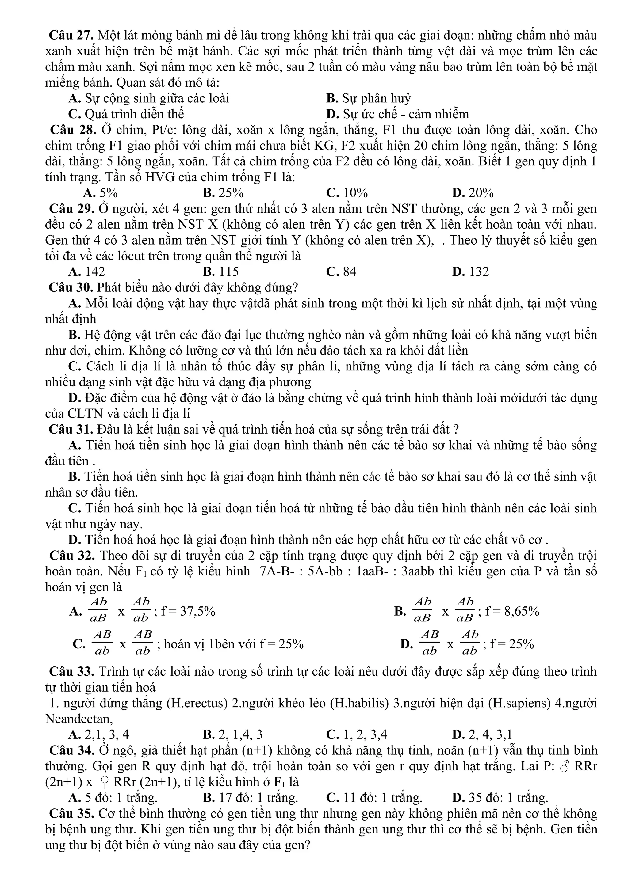 Câu 27. Một lát mỏng bánh mì để lâu trong không khí trải qua các giai đoạn: những chấm nhỏ màu
xanh xuất hiện trên bề mặt bánh. Các sợi mốc phát triển thành từng vệt dài và mọc trùm lên các
chấm màu xanh. Sợi nấm mọc xen kẽ mốc, sau 2 tuần có màu vàng nâu bao trùm lên toàn bộ bề mặt
miếng bánh. Quan sát đó mô tả:
A. Sự cộng sinh giữa các loài B. Sự phân huỷ
C. Quá trình diễn thế D. Sự ức chế - cảm nhiễm
Câu 28. Ở chim, Pt/c: lông dài, xoăn x lông ngắn, thẳng, F1 thu được toàn lông dài, xoăn. Cho
chim trống F1 giao phối với chim mái chưa biết KG, F2 xuất hiện 20 chim lông ngắn, thẳng: 5 lông
dài, thẳng: 5 lông ngắn, xoăn. Tất cả chim trống của F2 đều có lông dài, xoăn. Biết 1 gen quy định 1
tính trạng. Tần số HVG của chim trống F1 là:
A. 5% B. 25% C. 10% D. 20%
Câu 29. Ở người, xét 4 gen: gen thứ nhất có 3 alen nằm trên NST thường, các gen 2 và 3 mỗi gen
đều có 2 alen nằm trên NST X (không có alen trên Y) các gen trên X liên kết hoàn toàn với nhau.
Gen thứ 4 có 3 alen nằm trên NST giới tính Y (không có alen trên X), . Theo lý thuyết số kiểu gen
tối đa về các lôcut trên trong quần thể người là
A. 142 B. 115 C. 84 D. 132
Câu 30. Phát biểu nào dưới đây không đúng?
A. Mỗi loài động vật hay thực vậtđã phát sinh trong một thời kì lịch sử nhất định, tại một vùng
nhất định
B. Hệ động vật trên các đảo đại lục thường nghèo nàn và gồm những loài có khả năng vượt biển
như dơi, chim. Không có lưỡng cơ và thú lớn nếu đảo tách xa ra khỏi đất liền
C. Cách li địa lí là nhân tố thúc đẩy sự phân li, những vùng địa lí tách ra càng sớm càng có
nhiều dạng sinh vật đặc hữu và dạng địa phương
D. Đặc điểm của hệ động vật ở đảo là bằng chứng về quá trình hình thành loài mớidưới tác dụng
của CLTN và cách li địa lí
Câu 31. Đâu là kết luận sai về quá trình tiến hoá của sự sống trên trái đất ?
A. Tiến hoá tiền sinh học là giai đoạn hình thành nên các tế bào sơ khai và những tế bào sống
đầu tiên .
B. Tiến hoá tiền sinh học là giai đoạn hình thành nên các tế bào sơ khai sau đó là cơ thể sinh vật
nhân sơ đầu tiên.
C. Tiến hoá sinh học là giai đoạn tiến hoá từ những tế bào đầu tiên hình thành nên các loài sinh
vật như ngày nay.
D. Tiến hoá hoá học là giai đoạn hình thành nên các hợp chất hữu cơ từ các chất vô cơ .
Câu 32. Theo dõi sự di truyền của 2 cặp tính trạng được quy định bởi 2 cặp gen và di truyền trội
hoàn toàn. Nếu F1 có tỷ lệ kiểu hình 7A-B- : 5A-bb : 1aaB- : 3aabb thì kiểu gen của P và tần số
hoán vị gen là
A. aB
Ab
x ab
Ab
; f = 37,5% B. aB
Ab
x aB
Ab
; f = 8,65%
C. ab
AB
x ab
AB
; hoán vị 1bên với f = 25% D. ab
AB
x ab
Ab
; f = 25%
Câu 33. Trình tự các loài nào trong số trình tự các loài nêu dưới đây được sắp xếp đúng theo trình
tự thời gian tiến hoá
1. người đứng thẳng (H.erectus) 2.người khéo léo (H.habilis) 3.người hiện đại (H.sapiens) 4.người
Neandectan,
A. 2,1, 3, 4 B. 2, 1,4, 3 C. 1, 2, 3,4 D. 2, 4, 3,1
Câu 34. Ở ngô, giả thiết hạt phấn (n+1) không có khả năng thụ tinh, noãn (n+1) vẫn thụ tinh bình
thường. Gọi gen R quy định hạt đỏ, trội hoàn toàn so với gen r quy định hạt trắng. Lai P: ♂ RRr
(2n+1) x ♀ RRr (2n+1), tỉ lệ kiểu hình ở F1 là
A. 5 đỏ: 1 trắng. B. 17 đỏ: 1 trắng. C. 11 đỏ: 1 trắng. D. 35 đỏ: 1 trắng.
Câu 35. Cơ thể bình thường có gen tiền ung thư nhưng gen này không phiên mã nên cơ thể không
bị bệnh ung thư. Khi gen tiền ung thư bị đột biến thành gen ung thư thì cơ thể sẽ bị bệnh. Gen tiền
ung thư bị đột biến ở vùng nào sau đây của gen?
 
