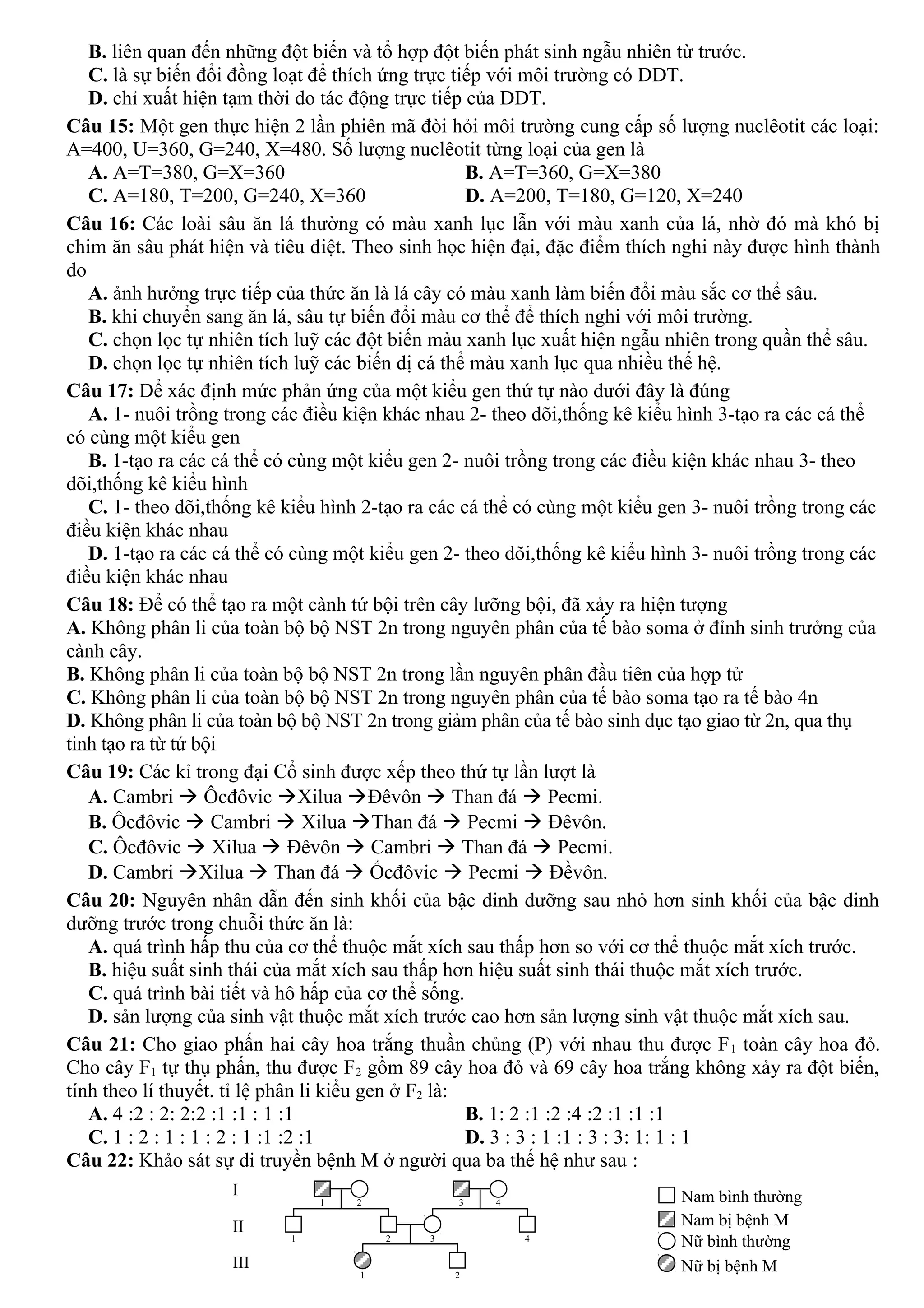 B. liên quan đến những đột biến và tổ hợp đột biến phát sinh ngẫu nhiên từ trước.
C. là sự biến đổi đồng loạt để thích ứng trực tiếp với môi trường có DDT.
D. chỉ xuất hiện tạm thời do tác động trực tiếp của DDT.
Câu 15: Một gen thực hiện 2 lần phiên mã đòi hỏi môi trường cung cấp số lượng nuclêotit các loại:
A=400, U=360, G=240, X=480. Số lượng nuclêotit từng loại của gen là
A. A=T=380, G=X=360 B. A=T=360, G=X=380
C. A=180, T=200, G=240, X=360 D. A=200, T=180, G=120, X=240
Câu 16: Các loài sâu ăn lá thường có màu xanh lục lẫn với màu xanh của lá, nhờ đó mà khó bị
chim ăn sâu phát hiện và tiêu diệt. Theo sinh học hiện đại, đặc điểm thích nghi này được hình thành
do
A. ảnh hưởng trực tiếp của thức ăn là lá cây có màu xanh làm biến đổi màu sắc cơ thể sâu.
B. khi chuyển sang ăn lá, sâu tự biến đổi màu cơ thể để thích nghi với môi trường.
C. chọn lọc tự nhiên tích luỹ các đột biến màu xanh lục xuất hiện ngẫu nhiên trong quần thể sâu.
D. chọn lọc tự nhiên tích luỹ các biến dị cá thể màu xanh lục qua nhiều thế hệ.
Câu 17: Để xác định mức phản ứng của một kiểu gen thứ tự nào dưới đây là đúng
A. 1- nuôi trồng trong các điều kiện khác nhau 2- theo dõi,thống kê kiểu hình 3-tạo ra các cá thể
có cùng một kiểu gen
B. 1-tạo ra các cá thể có cùng một kiểu gen 2- nuôi trồng trong các điều kiện khác nhau 3- theo
dõi,thống kê kiểu hình
C. 1- theo dõi,thống kê kiểu hình 2-tạo ra các cá thể có cùng một kiểu gen 3- nuôi trồng trong các
điều kiện khác nhau
D. 1-tạo ra các cá thể có cùng một kiểu gen 2- theo dõi,thống kê kiểu hình 3- nuôi trồng trong các
điều kiện khác nhau
Câu 18: Để có thể tạo ra một cành tứ bội trên cây lưỡng bội, đã xảy ra hiện tượng
A. Không phân li của toàn bộ bộ NST 2n trong nguyên phân của tế bào soma ở đỉnh sinh trưởng của
cành cây.
B. Không phân li của toàn bộ bộ NST 2n trong lần nguyên phân đầu tiên của hợp tử
C. Không phân li của toàn bộ bộ NST 2n trong nguyên phân của tế bào soma tạo ra tế bào 4n
D. Không phân li của toàn bộ bộ NST 2n trong giảm phân của tế bào sinh dục tạo giao từ 2n, qua thụ
tinh tạo ra từ tứ bội
Câu 19: Các kỉ trong đại Cổ sinh được xếp theo thứ tự lần lượt là
A. Cambri  Ôcđôvic Xilua Đêvôn  Than đá  Pecmi.
B. Ôcđôvic  Cambri  Xilua Than đá  Pecmi  Đêvôn.
C. Ôcđôvic  Xilua  Đêvôn  Cambri  Than đá  Pecmi.
D. Cambri Xilua  Than đá  Ốcđôvic  Pecmi  Đềvôn.
Câu 20: Nguyên nhân dẫn đến sinh khối của bậc dinh dưỡng sau nhỏ hơn sinh khối của bậc dinh
dưỡng trước trong chuỗi thức ăn là:
A. quá trình hấp thu của cơ thể thuộc mắt xích sau thấp hơn so với cơ thể thuộc mắt xích trước.
B. hiệu suất sinh thái của mắt xích sau thấp hơn hiệu suất sinh thái thuộc mắt xích trước.
C. quá trình bài tiết và hô hấp của cơ thể sống.
D. sản lượng của sinh vật thuộc mắt xích trước cao hơn sản lượng sinh vật thuộc mắt xích sau.
Câu 21: Cho giao phấn hai cây hoa trắng thuần chủng (P) với nhau thu được F1 toàn cây hoa đỏ.
Cho cây F1 tự thụ phấn, thu được F2 gồm 89 cây hoa đỏ và 69 cây hoa trắng không xảy ra đột biến,
tính theo lí thuyết. tỉ lệ phân li kiểu gen ở F2 là:
A. 4 :2 : 2: 2:2 :1 :1 : 1 :1 B. 1: 2 :1 :2 :4 :2 :1 :1 :1
C. 1 : 2 : 1 : 1 : 2 : 1 :1 :2 :1 D. 3 : 3 : 1 :1 : 3 : 3: 1: 1 : 1
Câu 22: Khảo sát sự di truyền bệnh M ở người qua ba thế hệ như sau :
1 2 3 4
1 2 3 4
1 2
I
II
III
Nam bình thường
Nam bị bệnh M
Nữ bình thường
Nữ bị bệnh M
 