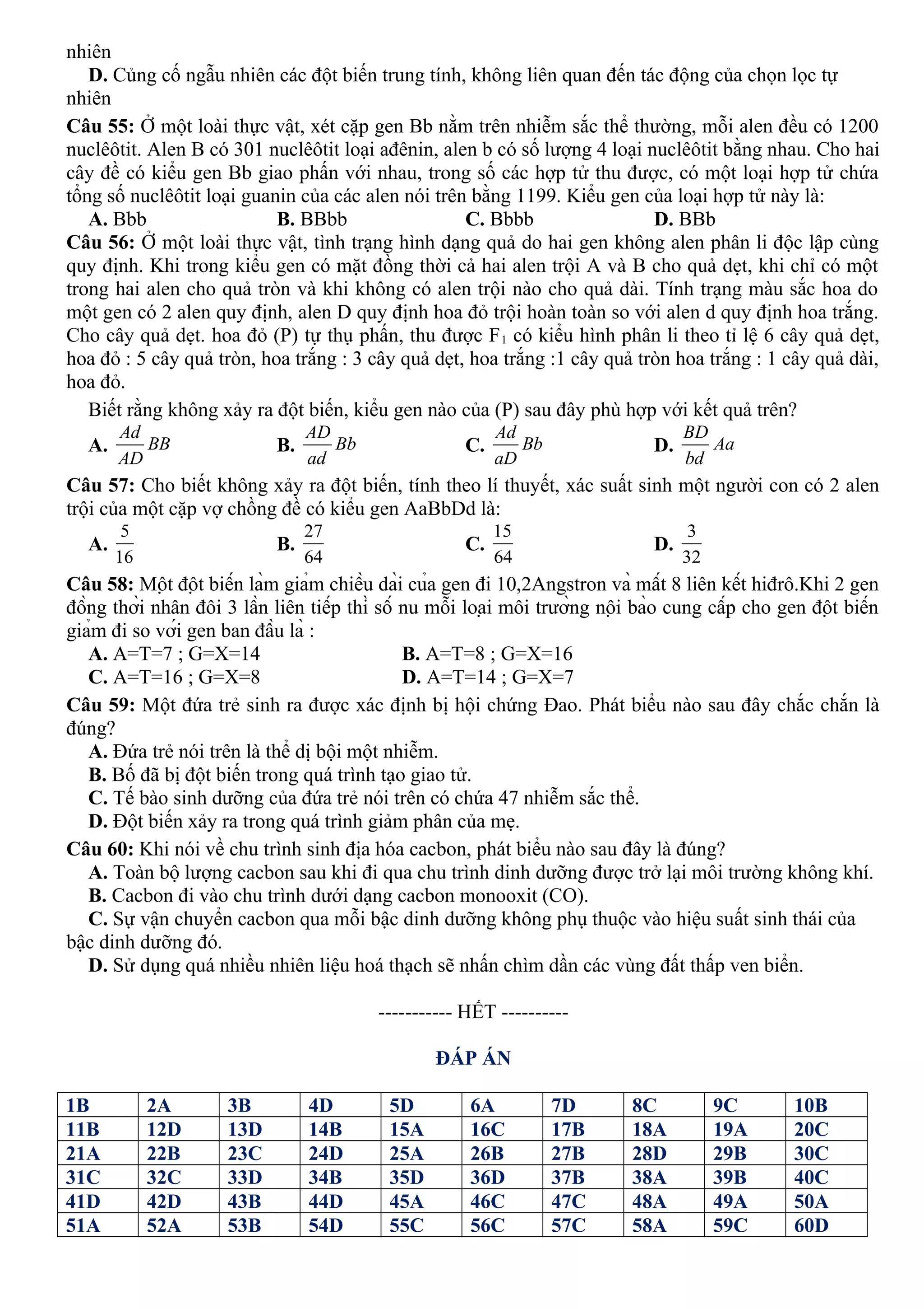 nhiên
D. Củng cố ngẫu nhiên các đột biến trung tính, không liên quan đến tác động của chọn lọc tự
nhiên
Câu 55: Ở một loài thực vật, xét cặp gen Bb nằm trên nhiễm sắc thể thường, mỗi alen đều có 1200
nuclêôtit. Alen B có 301 nuclêôtit loại ađênin, alen b có số lượng 4 loại nuclêôtit bằng nhau. Cho hai
cây đề có kiểu gen Bb giao phấn với nhau, trong số các hợp tử thu được, có một loại hợp tử chứa
tổng số nuclêôtit loại guanin của các alen nói trên bằng 1199. Kiểu gen của loại hợp tử này là:
A. Bbb B. BBbb C. Bbbb D. BBb
Câu 56: Ở một loài thực vật, tình trạng hình dạng quả do hai gen không alen phân li độc lập cùng
quy định. Khi trong kiểu gen có mặt đồng thời cả hai alen trội A và B cho quả dẹt, khi chỉ có một
trong hai alen cho quả tròn và khi không có alen trội nào cho quả dài. Tính trạng màu sắc hoa do
một gen có 2 alen quy định, alen D quy định hoa đỏ trội hoàn toàn so với alen d quy định hoa trắng.
Cho cây quả dẹt. hoa đỏ (P) tự thụ phấn, thu được F1 có kiểu hình phân li theo tỉ lệ 6 cây quả dẹt,
hoa đỏ : 5 cây quả tròn, hoa trắng : 3 cây quả dẹt, hoa trắng :1 cây quả tròn hoa trắng : 1 cây quả dài,
hoa đỏ.
Biết rằng không xảy ra đột biến, kiểu gen nào của (P) sau đây phù hợp với kết quả trên?
A.
Ad
BB
AD
B.
AD
Bb
ad
C.
Ad
Bb
aD
D.
BD
Aa
bd
Câu 57: Cho biết không xảy ra đột biến, tính theo lí thuyết, xác suất sinh một người con có 2 alen
trội của một cặp vợ chồng đề có kiểu gen AaBbDd là:
A.
5
16
B.
27
64
C.
15
64
D.
3
32
Câu 58: Một đột biến làm giảm chiều dài của gen đi 10,2Angstron và mất 8 liên kết hiđrô.Khi 2 gen
đồng thời nhân đôi 3 lần liên tiếp thì số nu mỗi loại môi trường nội bào cung cấp cho gen đột biến
giảm đi so với gen ban đầu là :
A. A=T=7 ; G=X=14 B. A=T=8 ; G=X=16
C. A=T=16 ; G=X=8 D. A=T=14 ; G=X=7
Câu 59: Một đứa trẻ sinh ra được xác định bị hội chứng Đao. Phát biểu nào sau đây chắc chắn là
đúng?
A. Đứa trẻ nói trên là thể dị bội một nhiễm.
B. Bố đã bị đột biến trong quá trình tạo giao tử.
C. Tế bào sinh dưỡng của đứa trẻ nói trên có chứa 47 nhiễm sắc thể.
D. Đột biến xảy ra trong quá trình giảm phân của mẹ.
Câu 60: Khi nói về chu trình sinh địa hóa cacbon, phát biểu nào sau đây là đúng?
A. Toàn bộ lượng cacbon sau khi đi qua chu trình dinh dưỡng được trở lại môi trường không khí.
B. Cacbon đi vào chu trình dưới dạng cacbon monooxit (CO).
C. Sự vận chuyển cacbon qua mỗi bậc dinh dưỡng không phụ thuộc vào hiệu suất sinh thái của
bậc dinh dưỡng đó.
D. Sử dụng quá nhiều nhiên liệu hoá thạch sẽ nhấn chìm dần các vùng đất thấp ven biển.
-----------------------------------------------
----------- HẾT ----------
ĐÁP ÁN
1B 2A 3B 4D 5D 6A 7D 8C 9C 10B
11B 12D 13D 14B 15A 16C 17B 18A 19A 20C
21A 22B 23C 24D 25A 26B 27B 28D 29B 30C
31C 32C 33D 34B 35D 36D 37B 38A 39B 40C
41D 42D 43B 44D 45A 46C 47C 48A 49A 50A
51A 52A 53B 54D 55C 56C 57C 58A 59C 60D
 