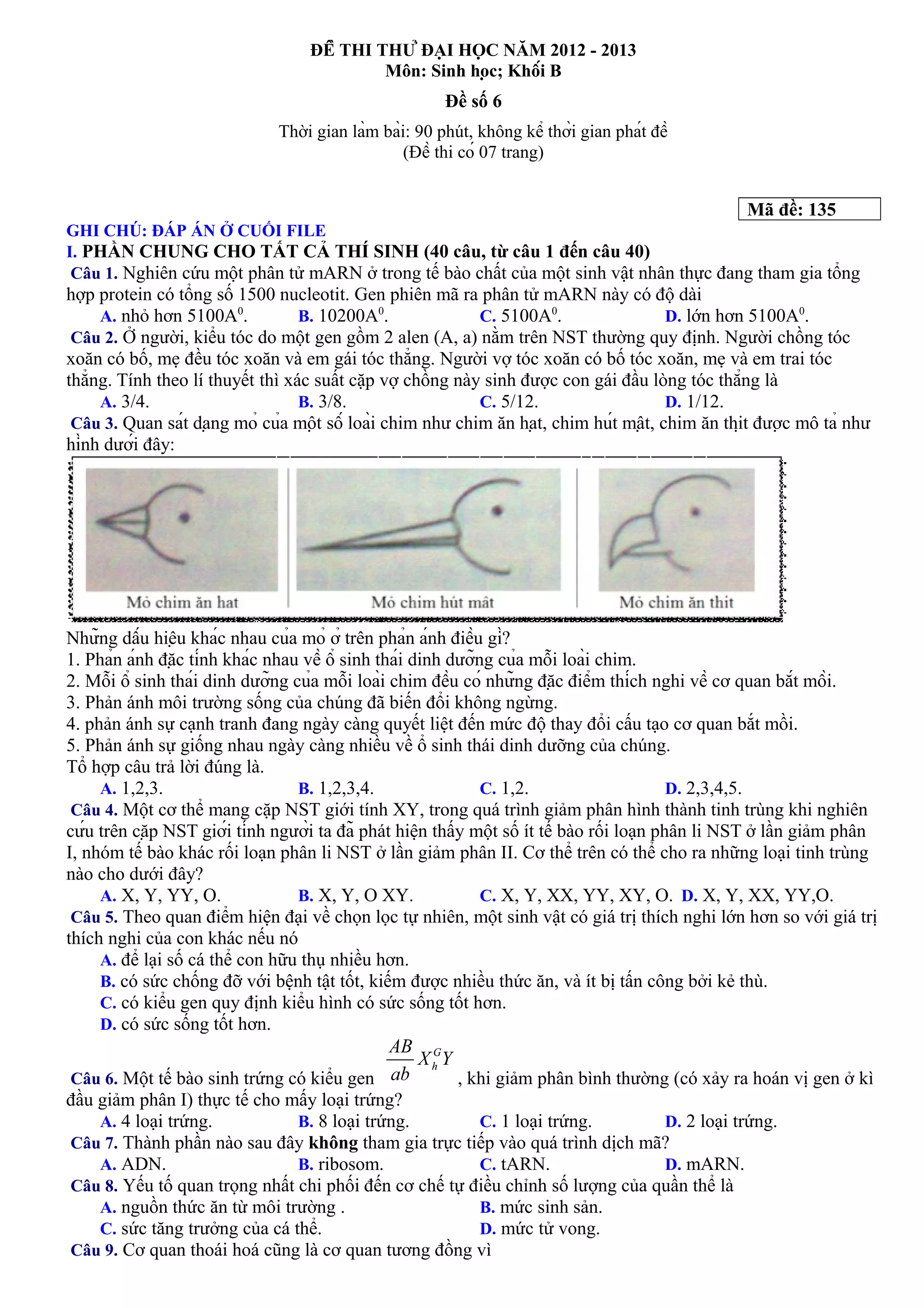 ĐỀ THI THỬ ĐẠI HỌC NĂM 2012 - 2013
Môn: Sinh học; Khối B
Đề số 6
Thời gian làm bài: 90 phút, không kể thời gian phát đề
(Đề thi có 07 trang)
Mã đề: 135
GHI CHÚ: ĐÁP ÁN Ở CUỐI FILE
I. PHẦN CHUNG CHO TẤT CẢ THÍ SINH (40 câu, từ câu 1 đến câu 40)
Câu 1. Nghiên cứu một phân tử mARN ở trong tế bào chất của một sinh vật nhân thực đang tham gia tổng
hợp protein có tổng số 1500 nucleotit. Gen phiên mã ra phân tử mARN này có độ dài
A. nhỏ hơn 5100A0
. B. 10200A0
. C. 5100A0
. D. lớn hơn 5100A0
.
Câu 2. Ở người, kiểu tóc do một gen gồm 2 alen (A, a) nằm trên NST thường quy định. Người chồng tóc
xoăn có bố, mẹ đều tóc xoăn và em gái tóc thẳng. Người vợ tóc xoăn có bố tóc xoăn, mẹ và em trai tóc
thẳng. Tính theo lí thuyết thì xác suất cặp vợ chồng này sinh được con gái đầu lòng tóc thẳng là
A. 3/4. B. 3/8. C. 5/12. D. 1/12.
Câu 3. Quan sát dạng mỏ của một số loài chim như chim ăn hạt, chim hút mật, chim ăn thịt được mô tả như
hình dưới đây:
Những dấu hiệu khác nhau của mỏ ở trên phản ánh điều gì?
1. Phản ánh đặc tính khác nhau về ổ sinh thái dinh dưỡng của mỗi loài chim.
2. Mỗi ổ sinh thái dinh dưỡng của mỗi loài chim đều có những đặc điểm thích nghi về cơ quan bắt mồi.
3. Phản ánh môi trường sống của chúng đã biến đổi không ngừng.
4. phản ánh sự cạnh tranh đang ngày càng quyết liệt đến mức độ thay đổi cấu tạo cơ quan bắt mồi.
5. Phản ánh sự giống nhau ngày càng nhiều về ổ sinh thái dinh dưỡng của chúng.
Tổ hợp câu trả lời đúng là.
A. 1,2,3. B. 1,2,3,4. C. 1,2. D. 2,3,4,5.
Câu 4. Một cơ thể mang cặp NST giới tính XY, trong quá trình giảm phân hình thành tinh trùng khi nghiên
cứu trên cặp NST giới tính người ta đã phát hiện thấy một số ít tế bào rối loạn phân li NST ở lần giảm phân
I, nhóm tế bào khác rối loạn phân li NST ở lần giảm phân II. Cơ thể trên có thể cho ra những loại tinh trùng
nào cho dưới đây?
A. X, Y, YY, O. B. X, Y, O XY. C. X, Y, XX, YY, XY, O. D. X, Y, XX, YY,O.
Câu 5. Theo quan điểm hiện đại về chọn lọc tự nhiên, một sinh vật có giá trị thích nghi lớn hơn so với giá trị
thích nghi của con khác nếu nó
A. để lại số cá thể con hữu thụ nhiều hơn.
B. có sức chống đỡ với bệnh tật tốt, kiếm được nhiều thức ăn, và ít bị tấn công bởi kẻ thù.
C. có kiểu gen quy định kiểu hình có sức sống tốt hơn.
D. có sức sống tốt hơn.
Câu 6. Một tế bào sinh trứng có kiểu gen , khi giảm phân bình thường (có xảy ra hoán vị gen ở kì
đầu giảm phân I) thực tế cho mấy loại trứng?
A. 4 loại trứng. B. 8 loại trứng. C. 1 loại trứng. D. 2 loại trứng.
Câu 7. Thành phần nào sau đây không tham gia trực tiếp vào quá trình dịch mã?
A. ADN. B. ribosom. C. tARN. D. mARN.
Câu 8. Yếu tố quan trọng nhất chi phối đến cơ chế tự điều chỉnh số lượng của quần thể là
A. nguồn thức ăn từ môi trường . B. mức sinh sản.
C. sức tăng trưởng của cá thể. D. mức tử vong.
Câu 9. Cơ quan thoái hoá cũng là cơ quan tương đồng vì
 